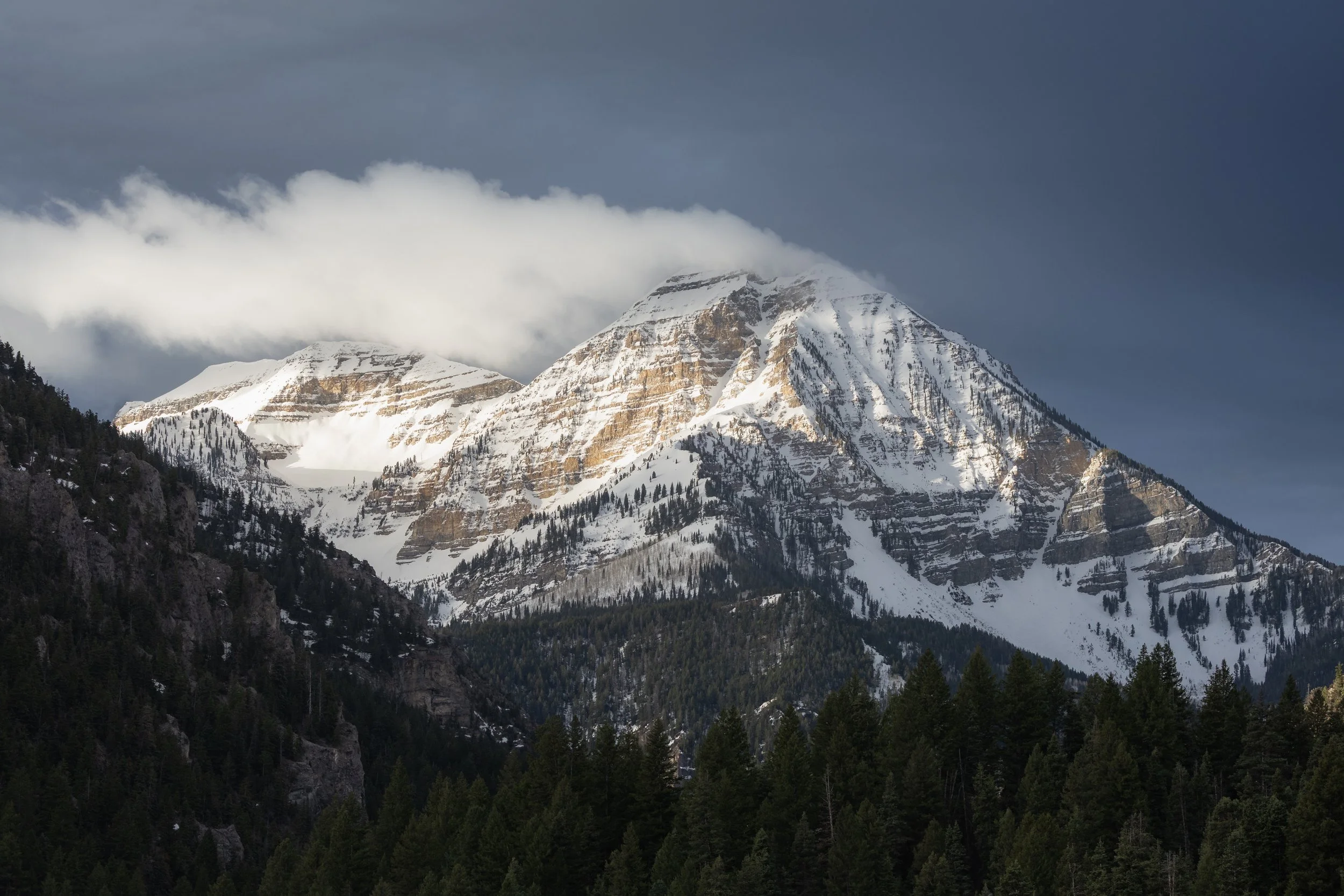 Snow-capped mountain peaks with partly cloudy sky, surrounded by dense green forest.