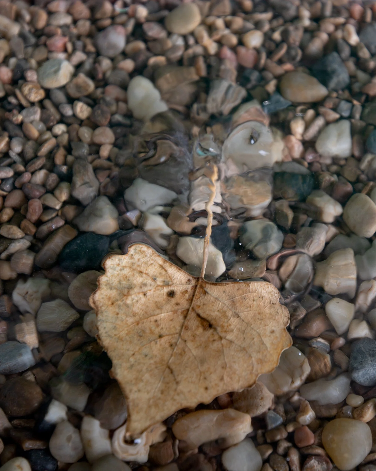 Seemingly Outside.jpg