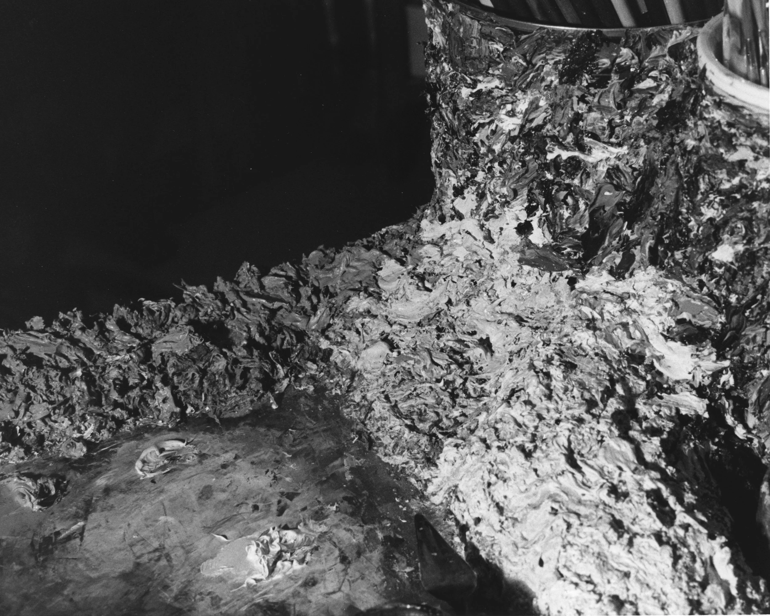 Painters-Palette-scanned-silver-gelatin.jpg