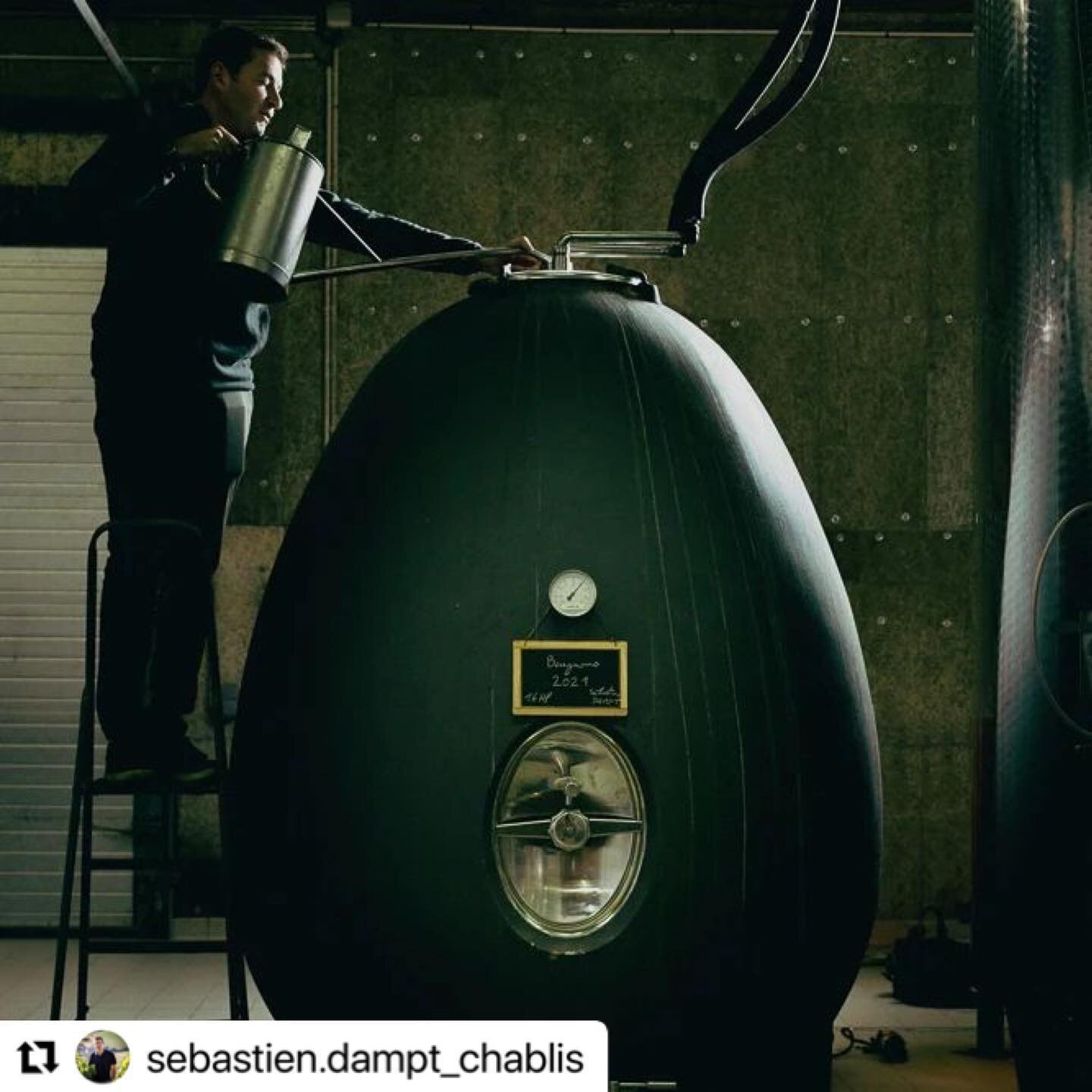 #Repost @sebastien.dampt_chablis with @make_repost
・・・
Joyeuses P&acirc;ques ! Happy Easter ! 🐣😉 #chablis #chablispremiercru #beugnons #&oelig;uf #egg #vinification #wine #vin #millesime2021 #vintage2021 #burgundywine #p&acirc;ques #easter #s&egrav