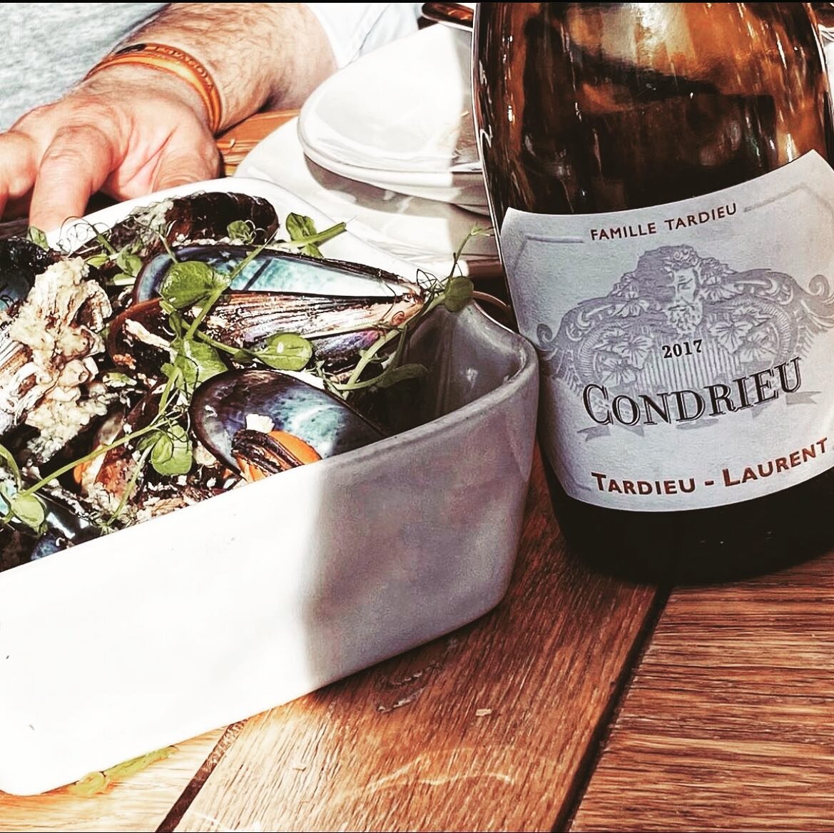 YES PLEASE ⭐️ Insalata di Cozze + 2017 Condrieu, Famille Tardieu
@tardieulaurentvins

#tardieulaurent #europvin #goldenstatewine #california #winelover