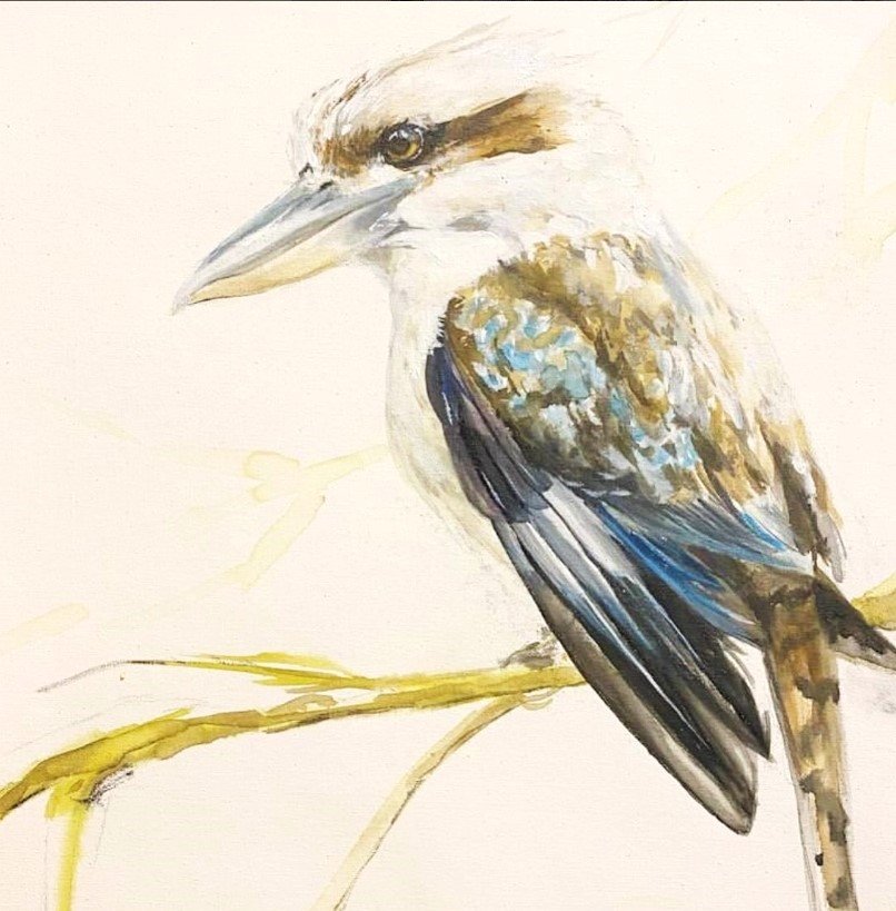 KOOKABURRA 2