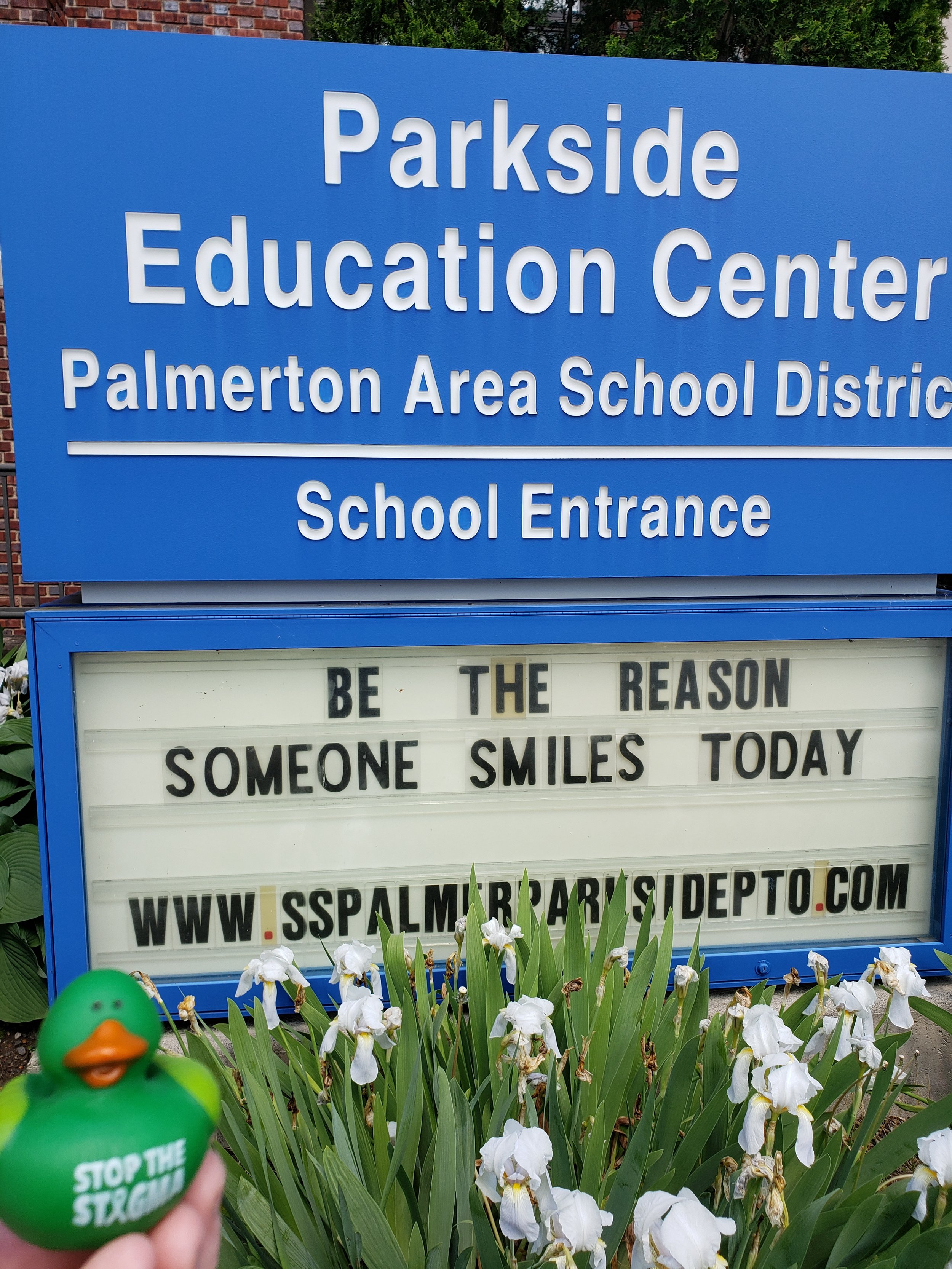 S. S. Palmer Elem Carbon Co..jpg