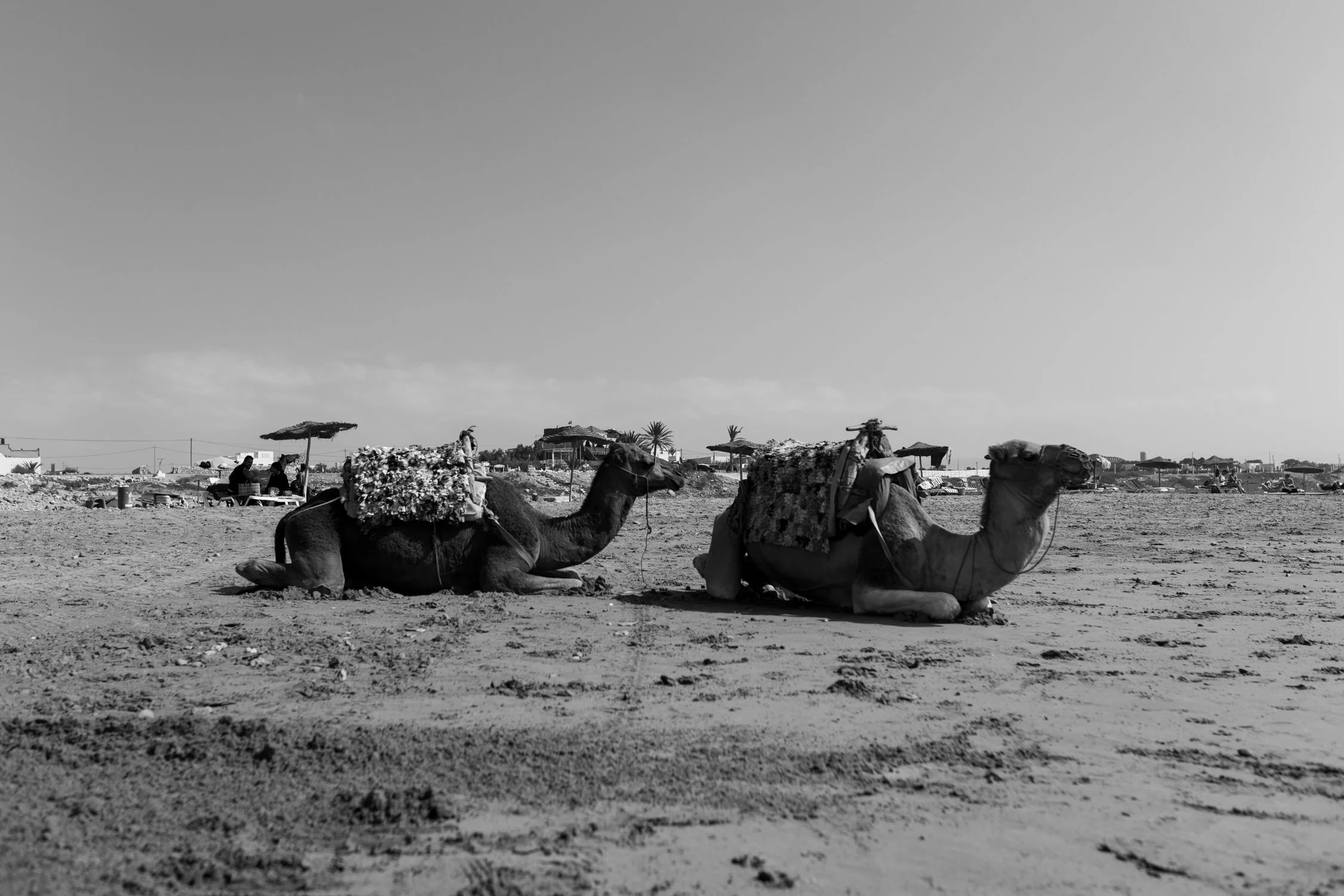 The Ultimate Guide to Surfing in Morocco's Atlantic Coast — L'escale The Ultimate Guide to Surfing in Morocco's Atlantic Coast — L'escale