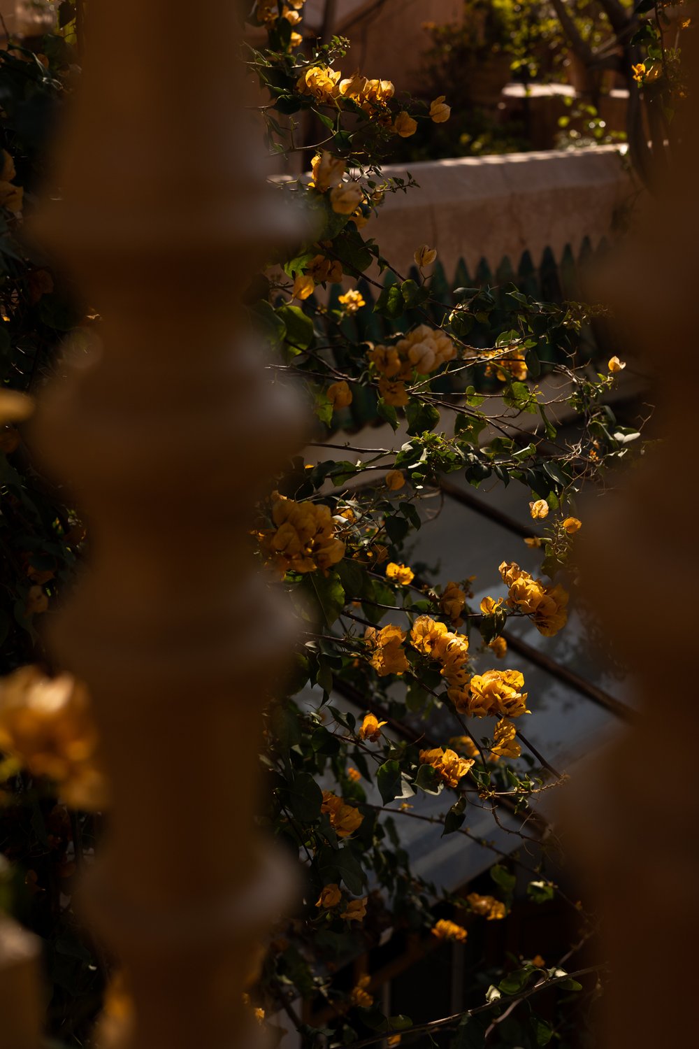 Dar Rbaa Laroub_ A Hidden Oasis of Tranquillity in Marrakech's Medina-138.jpg