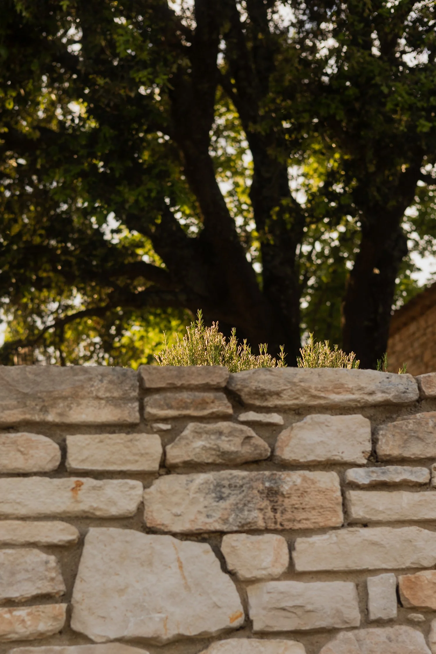 Mas Re.Source_ Slow Days in a Restored Farmhouse in the Gard-138.jpg