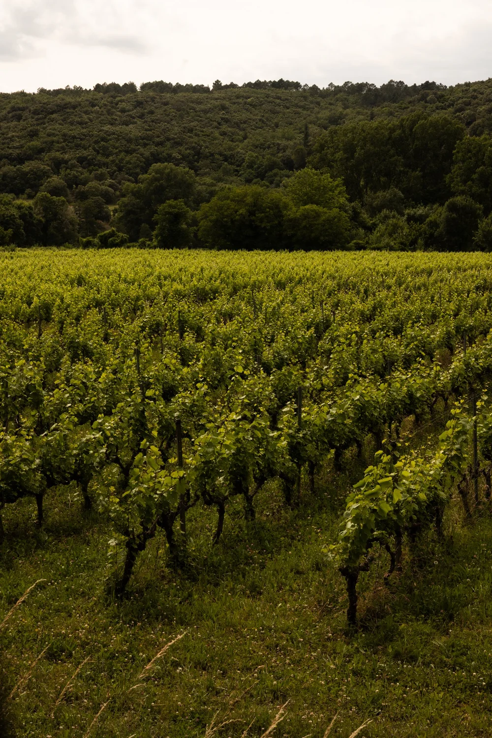 Mas Re.Source_ Slow Days in a Restored Farmhouse in the Gard-006.jpg