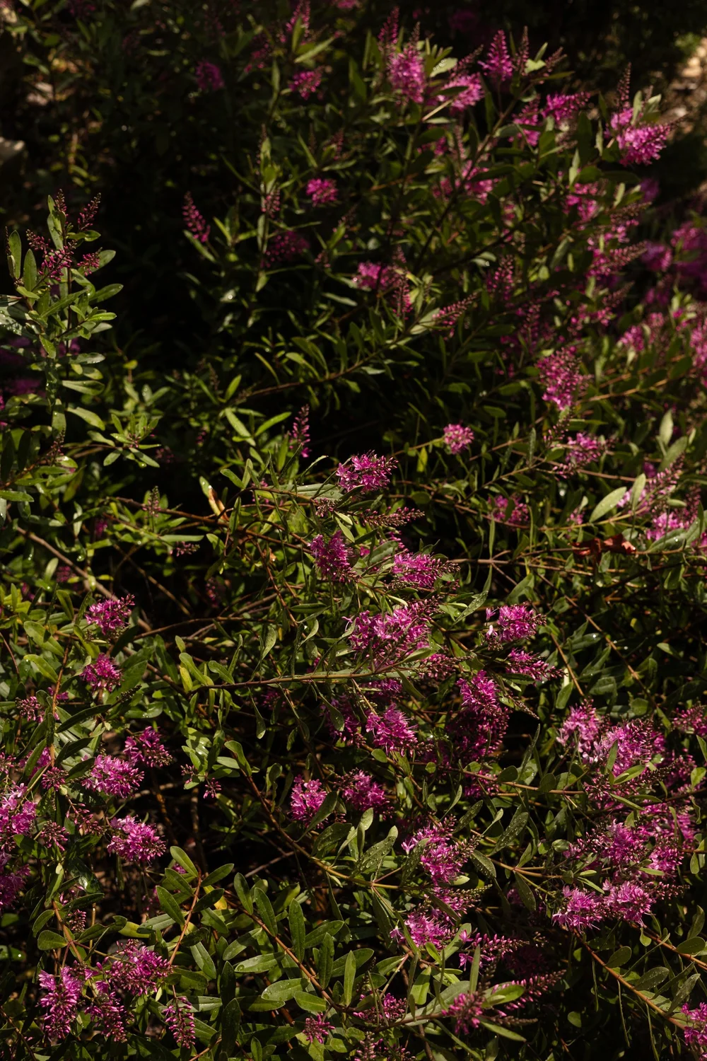 Mas Re.Source_ Slow Days in a Restored Farmhouse in the Gard-053.jpg