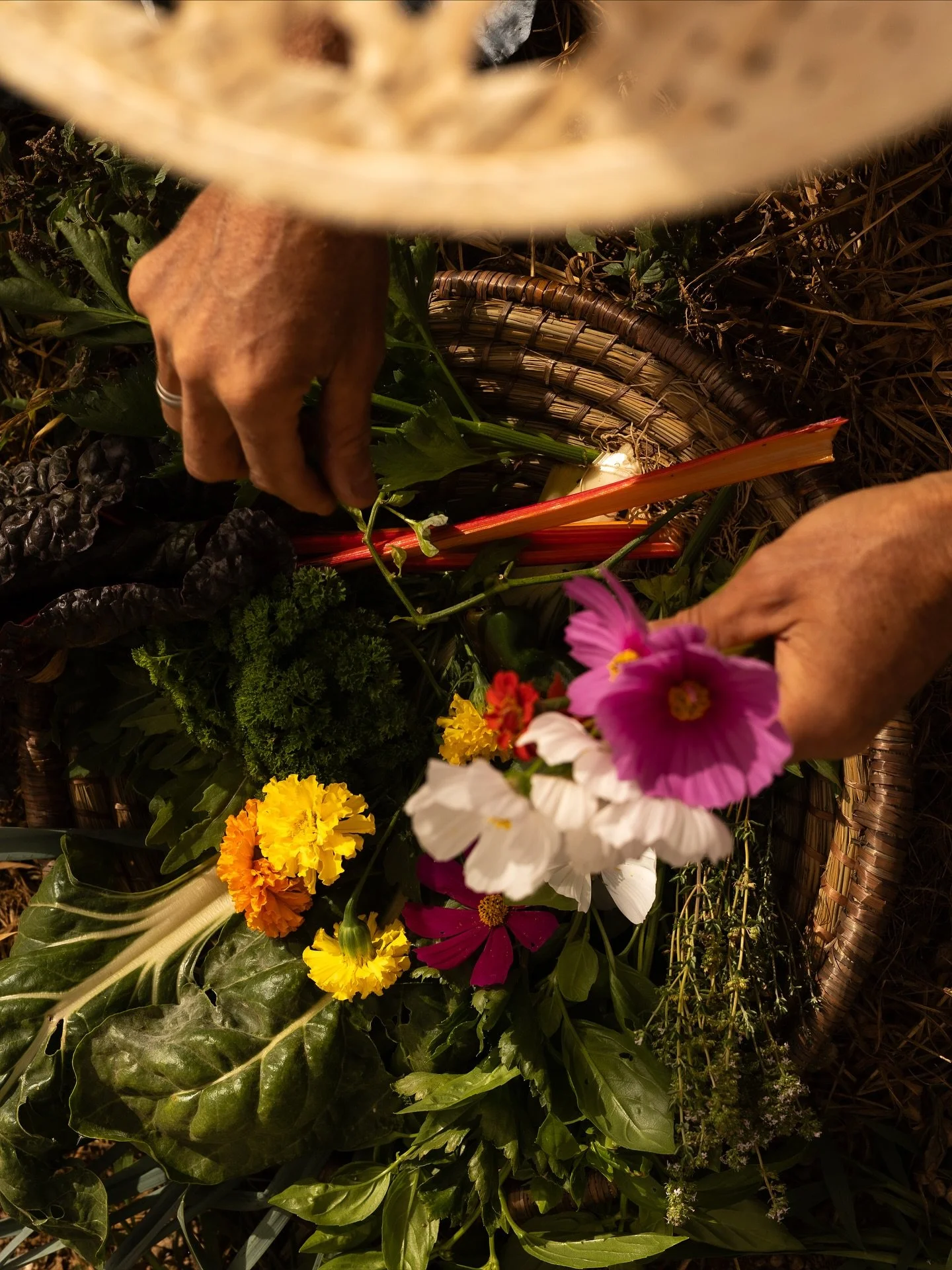 Can knowing your ingredients change the way you travel?

Food is more than flavour; it&rsquo;s connection.

The soil, the hands that harvest, and the seasons that shape it, every step reflects the care behind it. When you notice where your food comes