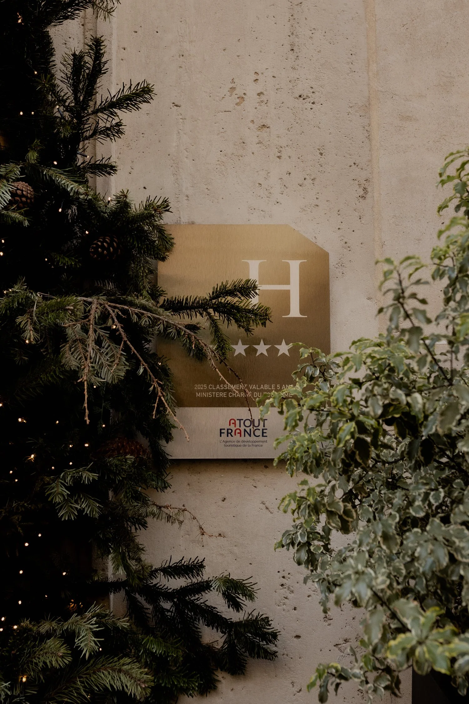 Hôtel de Sers, A Parisian Winter Overlooking the Eiffel Tower-208.jpg