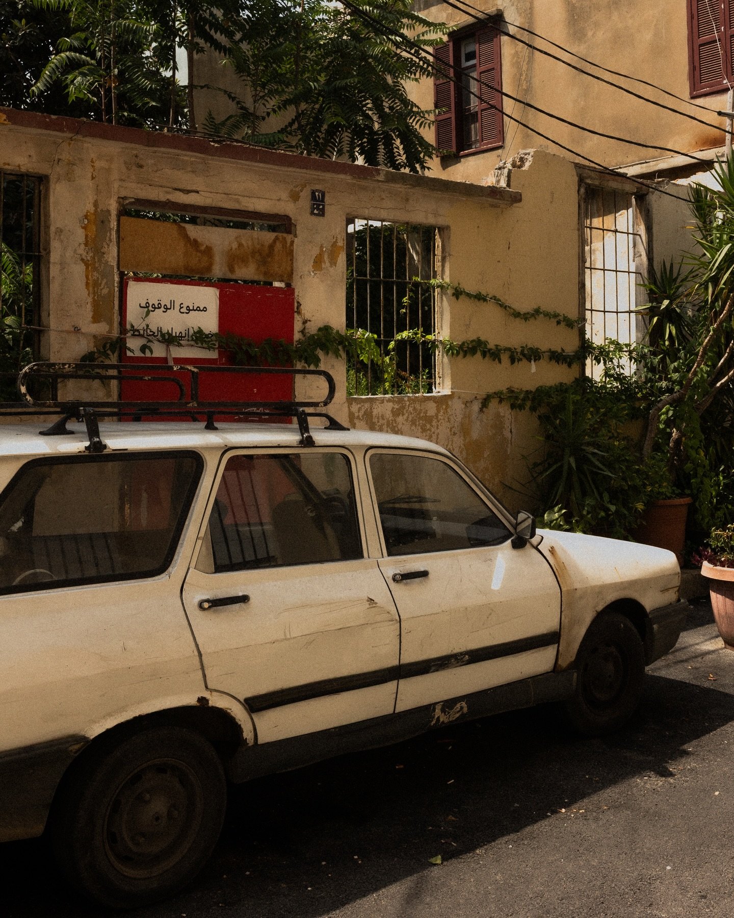 Beirut, up close

Nothing polished, everything alive: streets, blooms, and sunlight caught in the cracks.

#travel #beirut #travelguide #travelling #lebanon
