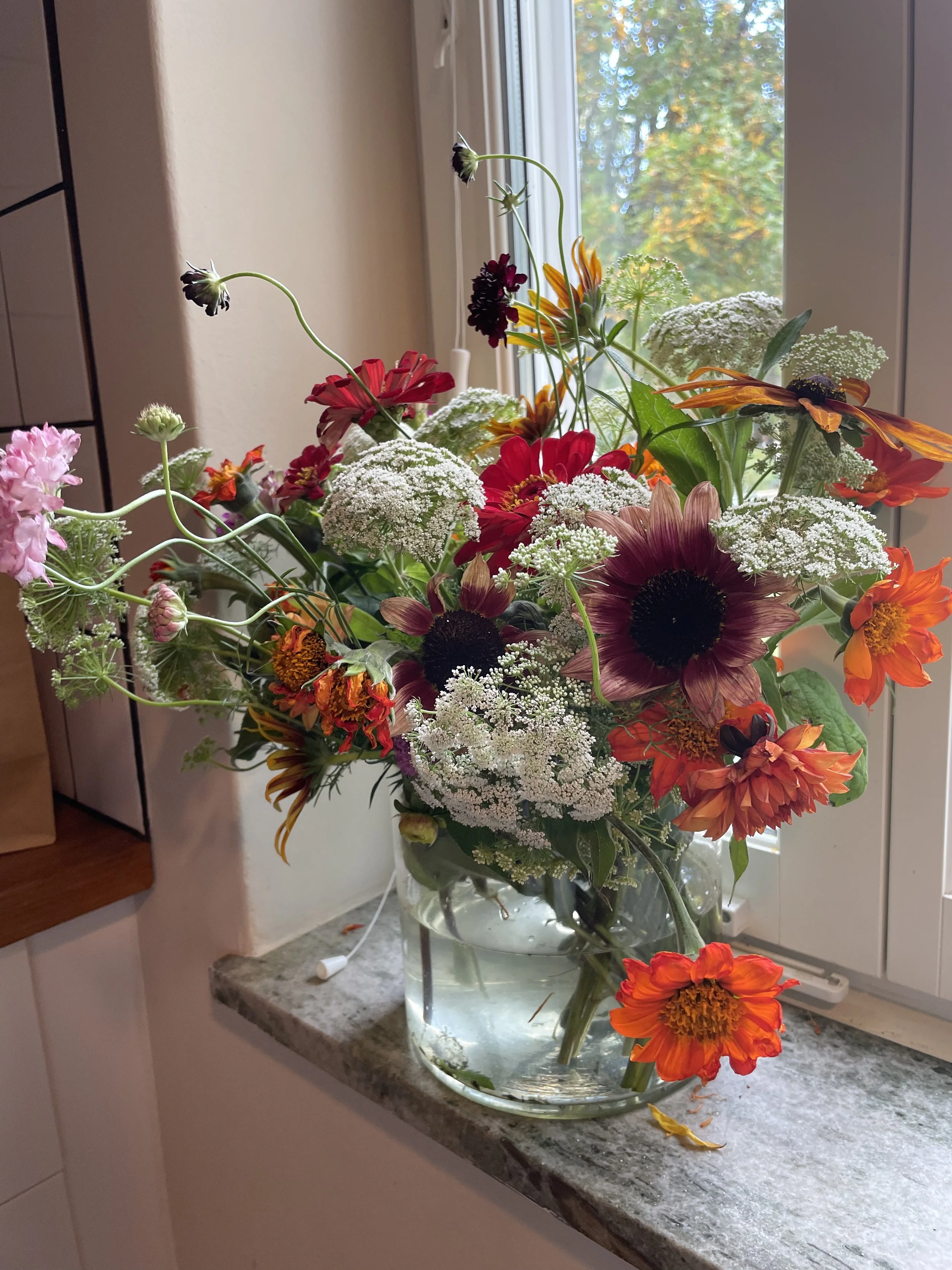 snittblommor från trädgården, tandpetarsilja, solrosor, zinnia