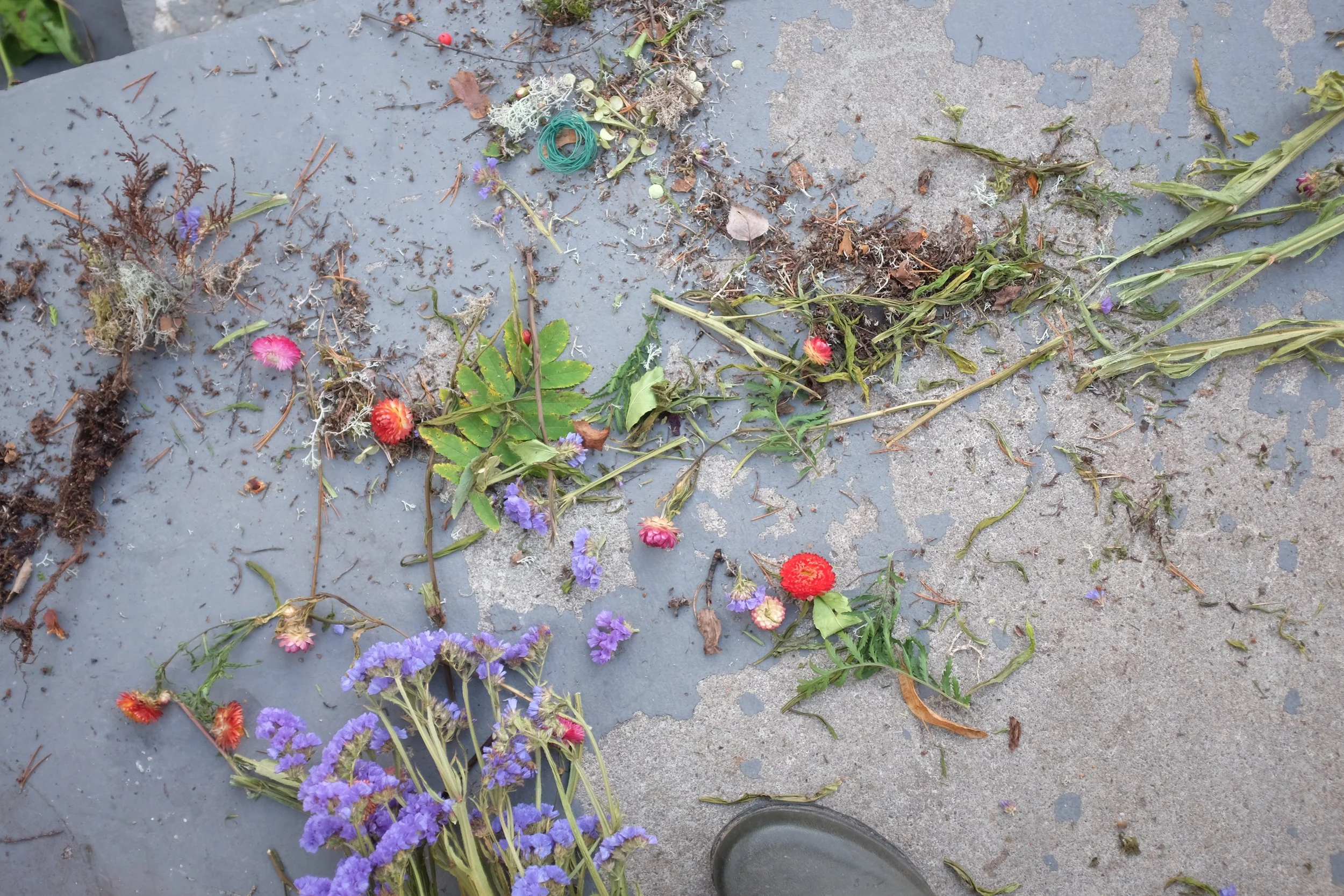 Flera olika blomster och växtdelar ligger utspridda på en betongyta, inklusive röda, blå och lila blommor och växtrester. Eterneller.