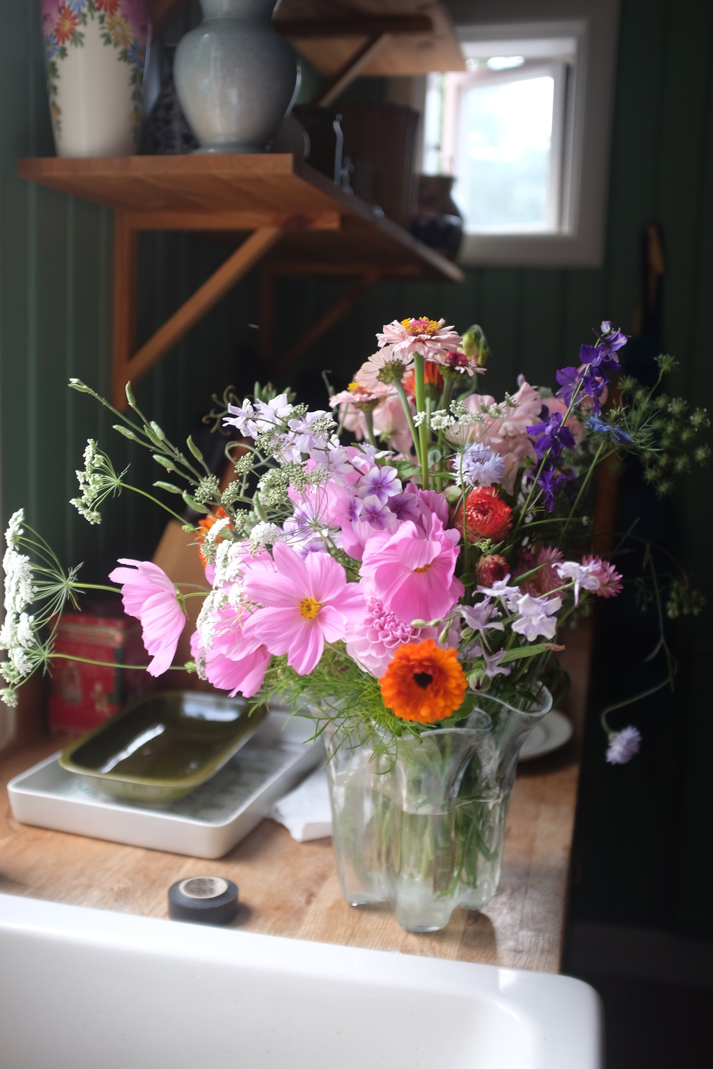 rosenskära, slöjsilja, ringblommor, vädd, sommarflox, romersk riddarsporre, blåklint, odla snittblommor