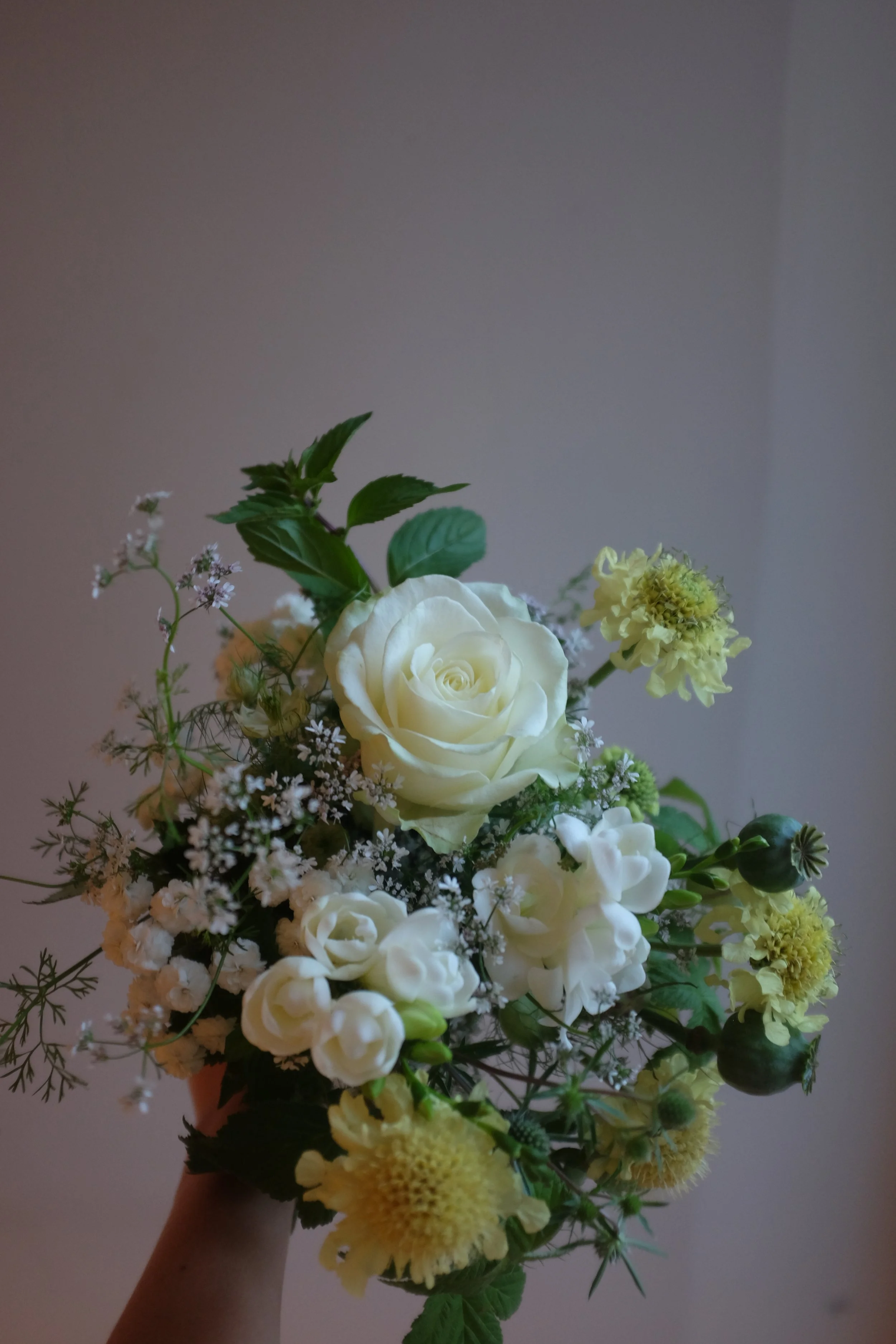 Siglinns brudbukett, jättevädd, vita rosor, hallon, korianderblommor