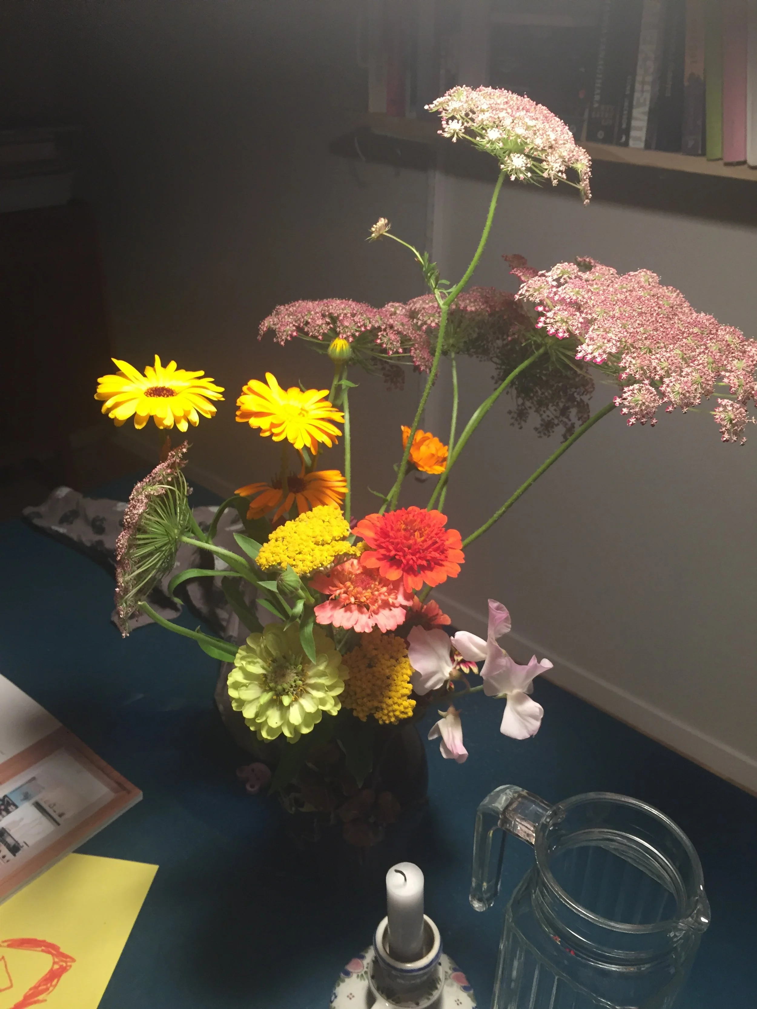 Snittblommor, odla, vildmorot, zinnia, ringblommor