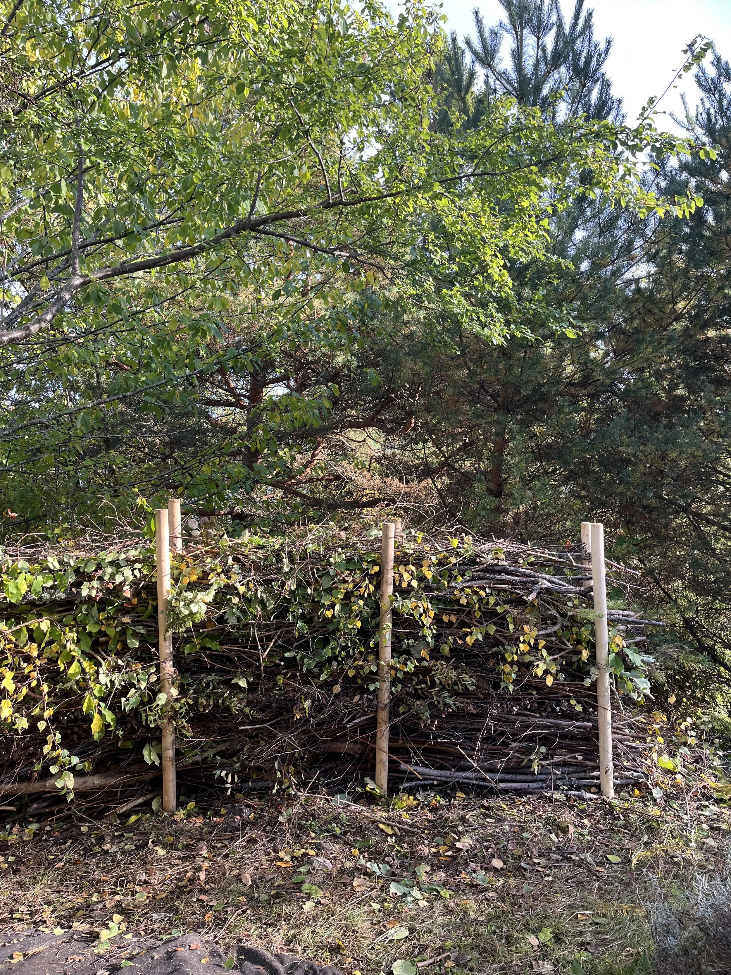 risstaket, riskompost, granstörar