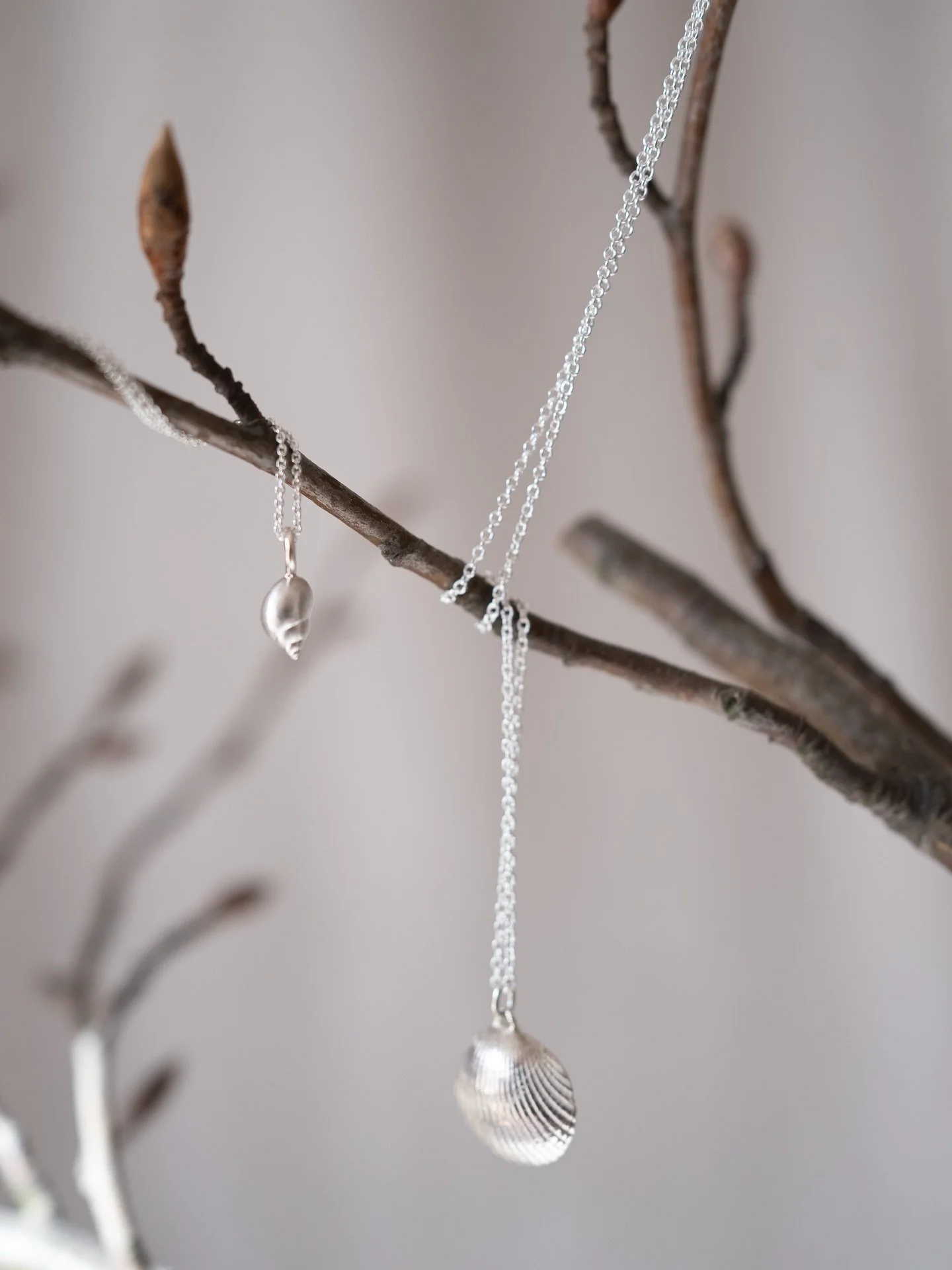 Silber Muscheln in gro&szlig; oder klein🐚🌊
Gibt&rsquo;s im Shop &amp; sind super cute! 

✨Hi, ich bin Mia. Goldschmiedin &amp; Kreativschaffende. Bei mir gibt&rsquo;s Schmuck, Papeterie &amp; Kleidung und alles handgemacht! Das feier ich n&auml;mli