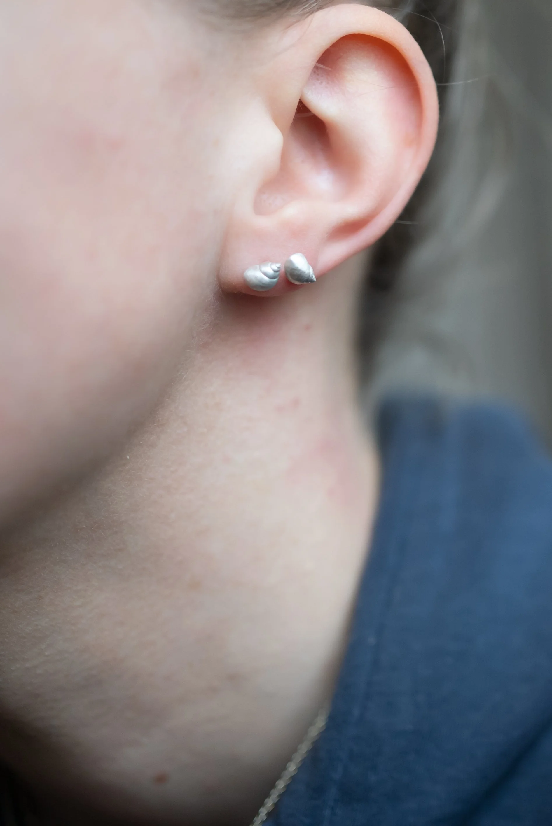 MUSCHEL Ohrstecker Silber