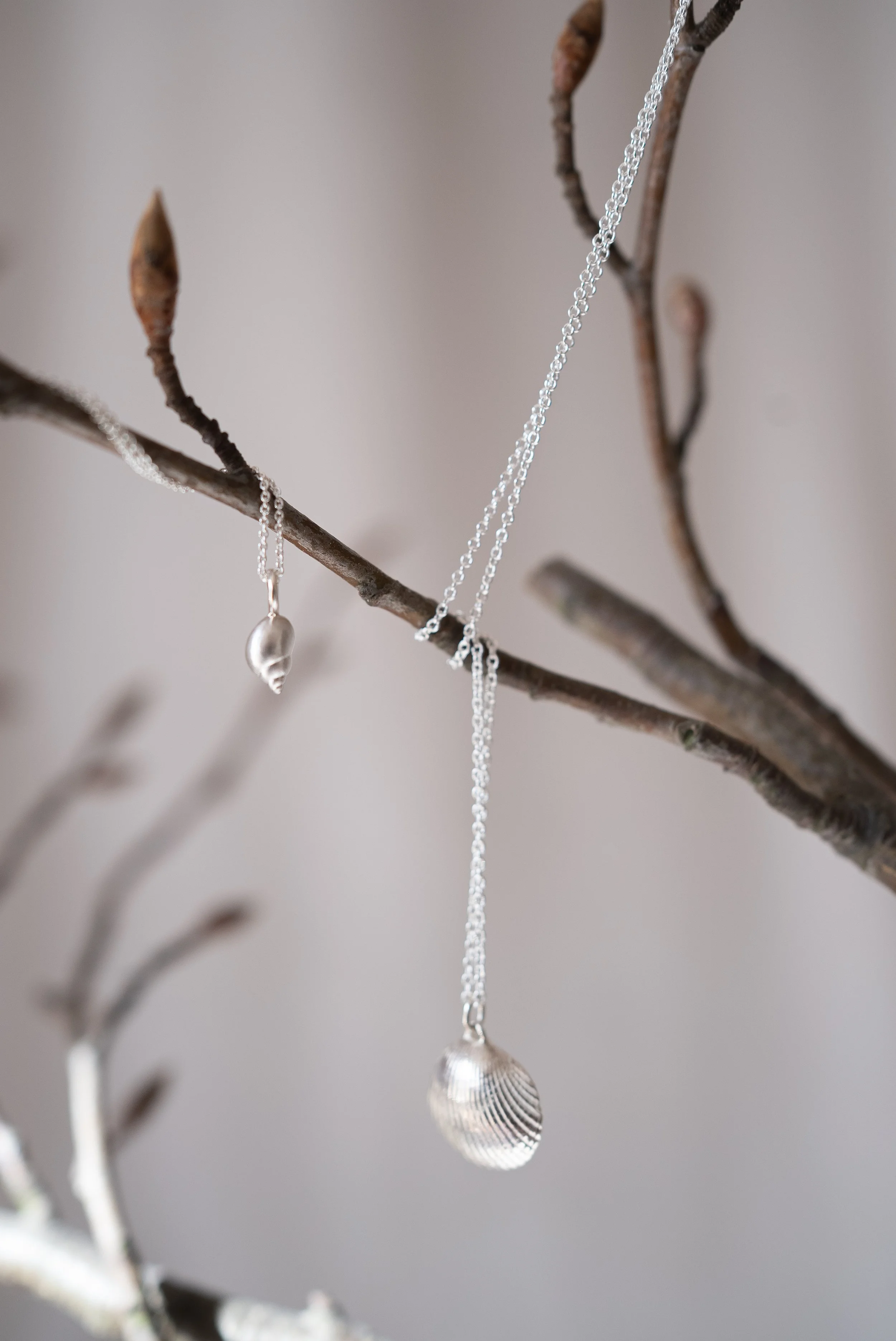 MUSCHEL Anhänger Silber