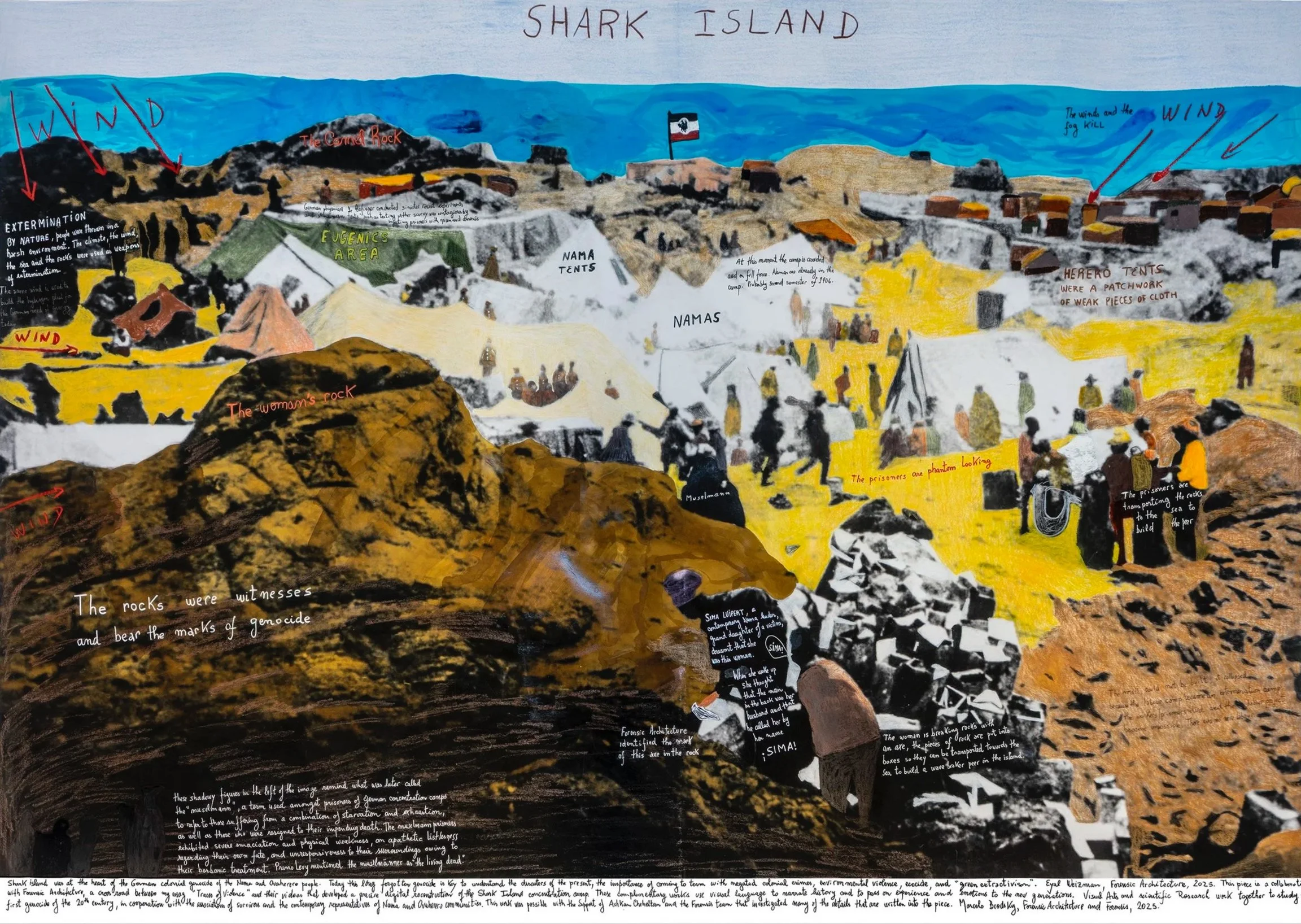 marcelo brodsky shark island low.jpg