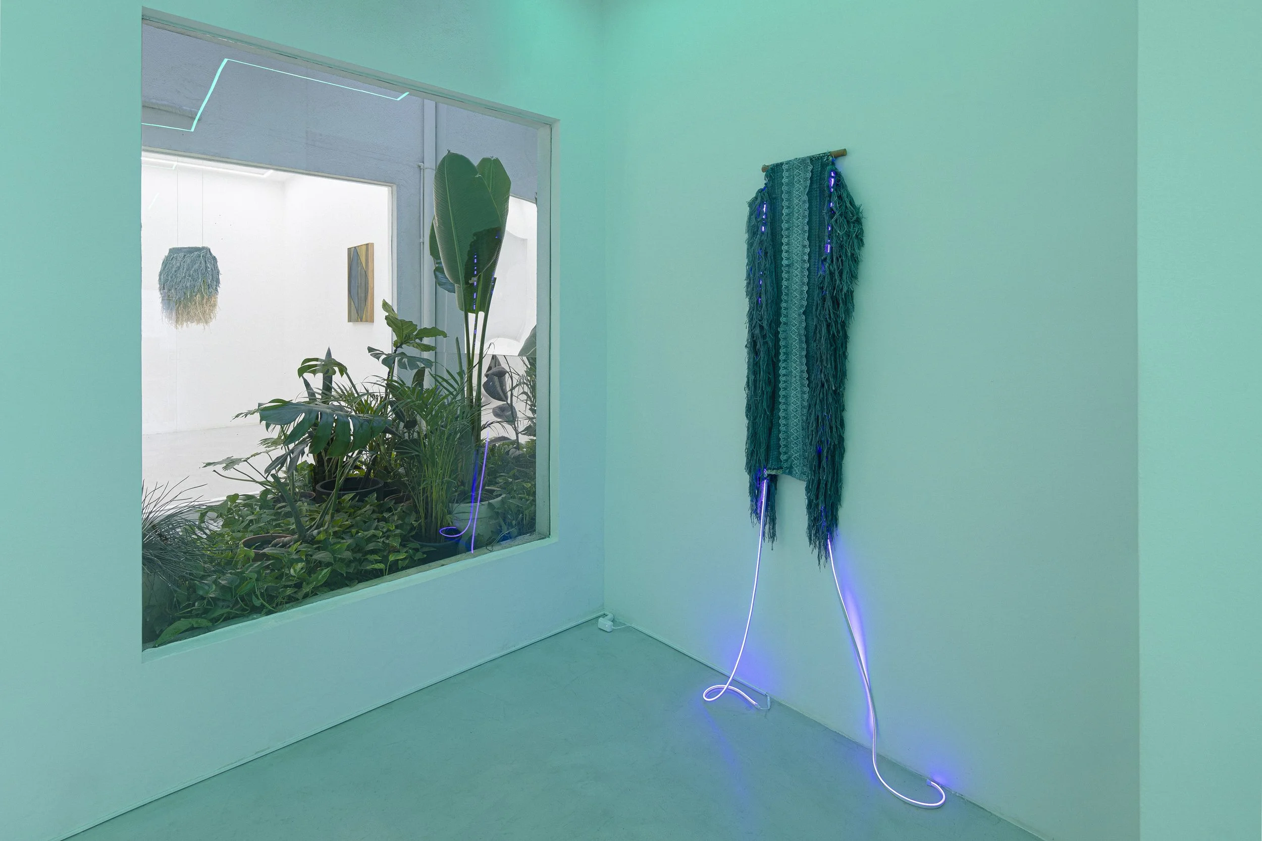 260128-Zielinsky-ph Ana Pigosso-006-hr.jpg