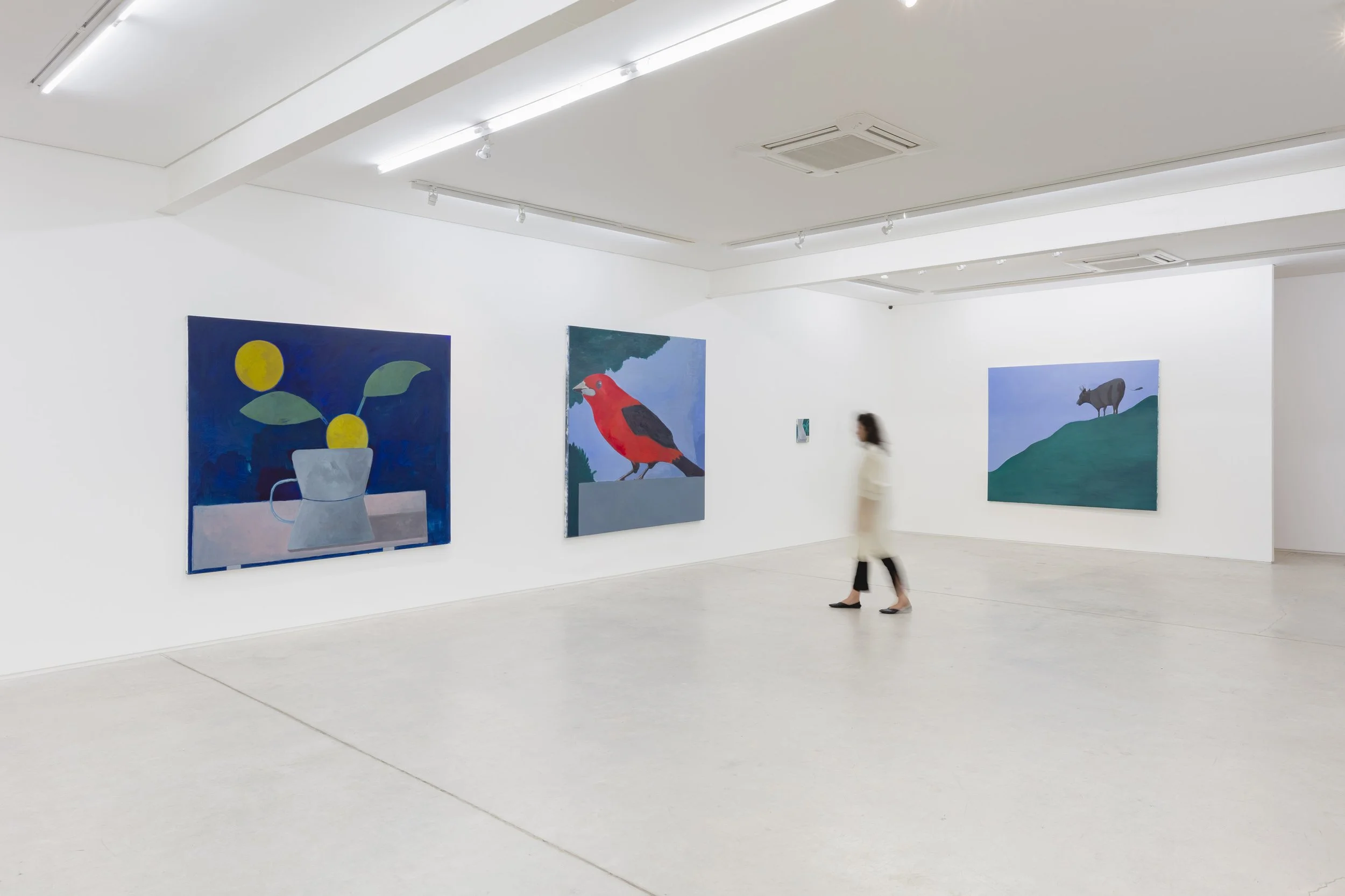 Rodrigo Bivar | Exhibition view "Algum", Simões de Assis, São Paulo