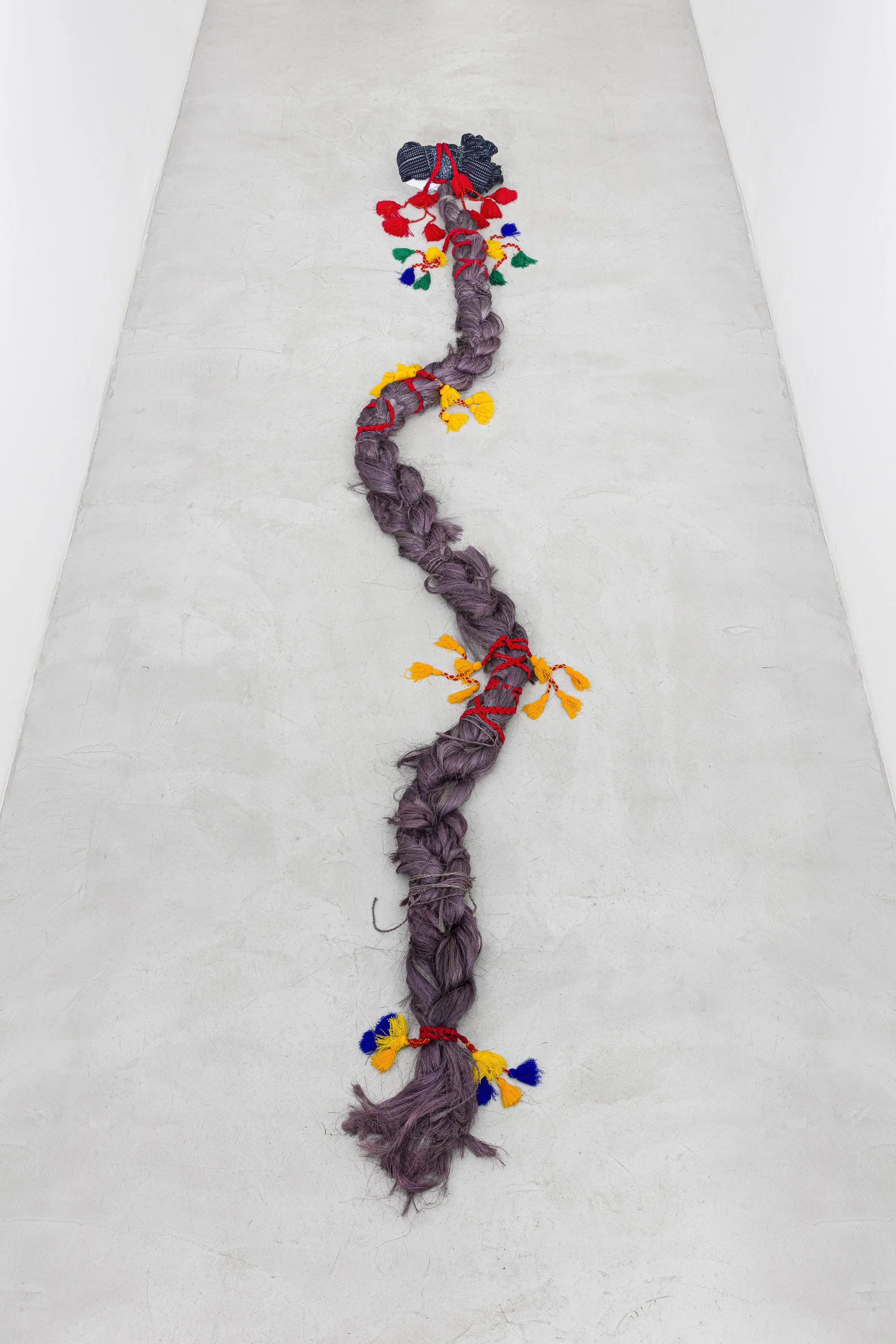 260128-Zielinsky-ph Ana Pigosso-001-hr.jpg