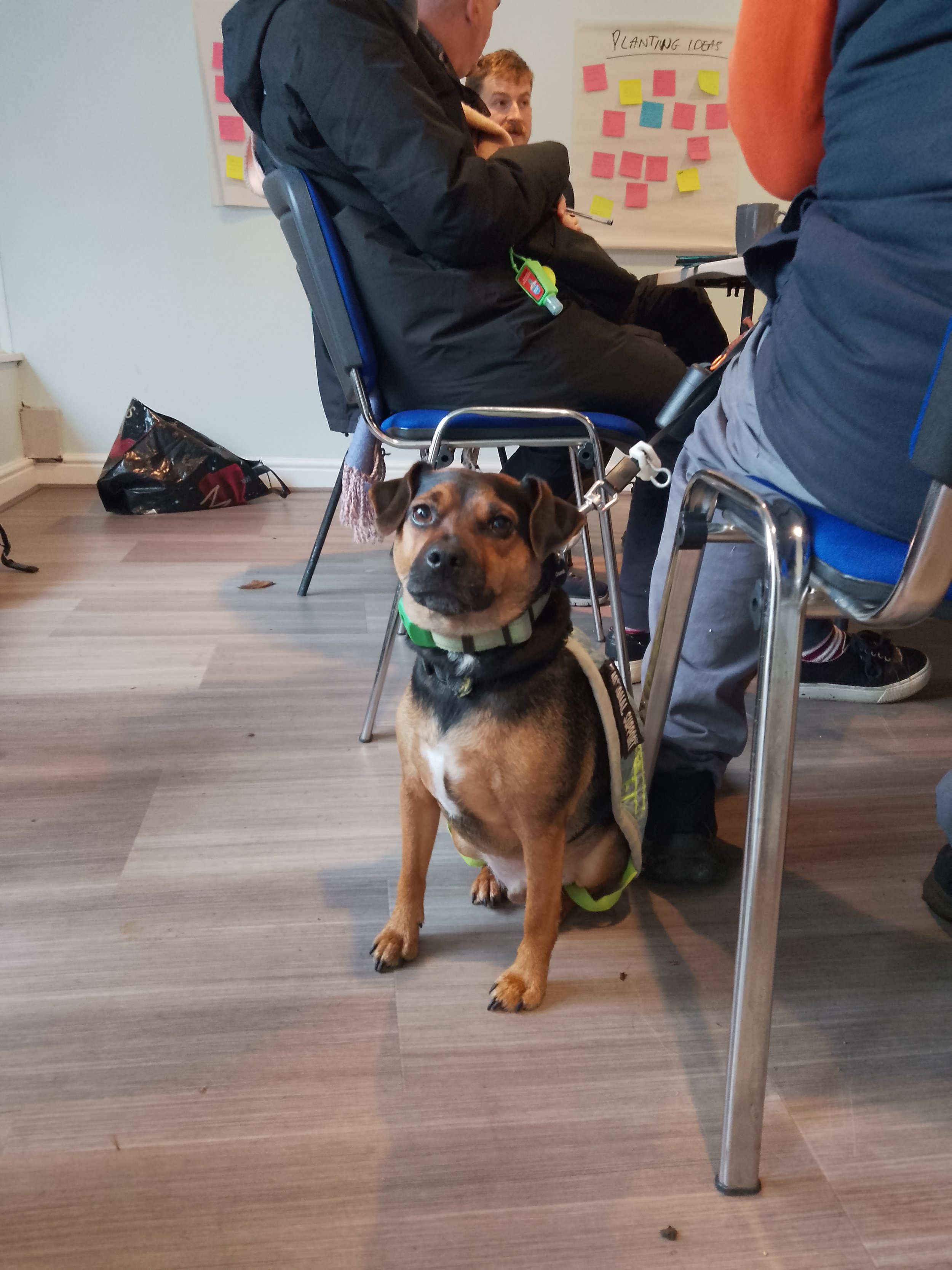 Including creatures great and small in our planning and design meetings