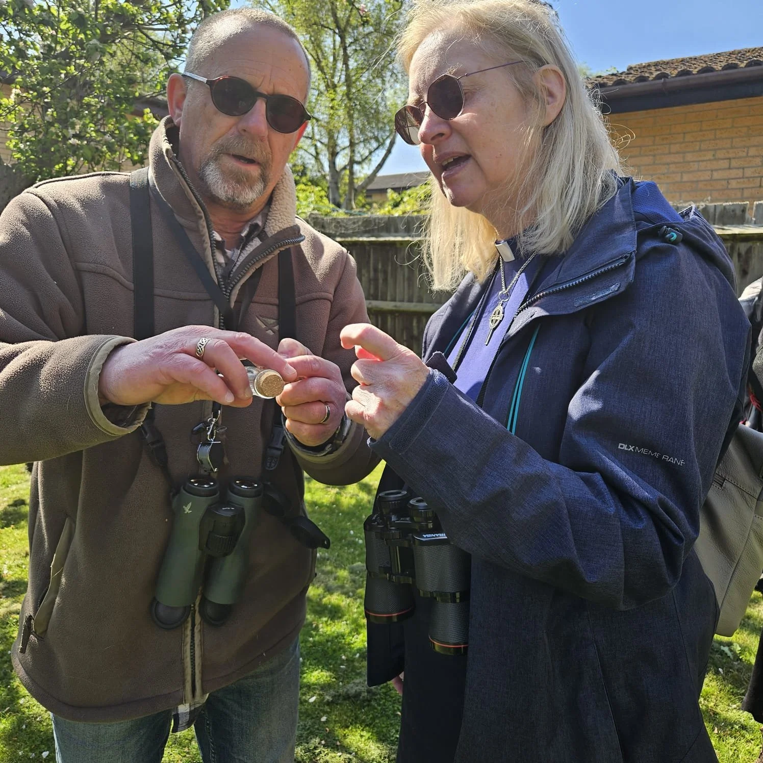 What kind of hover fly is this?