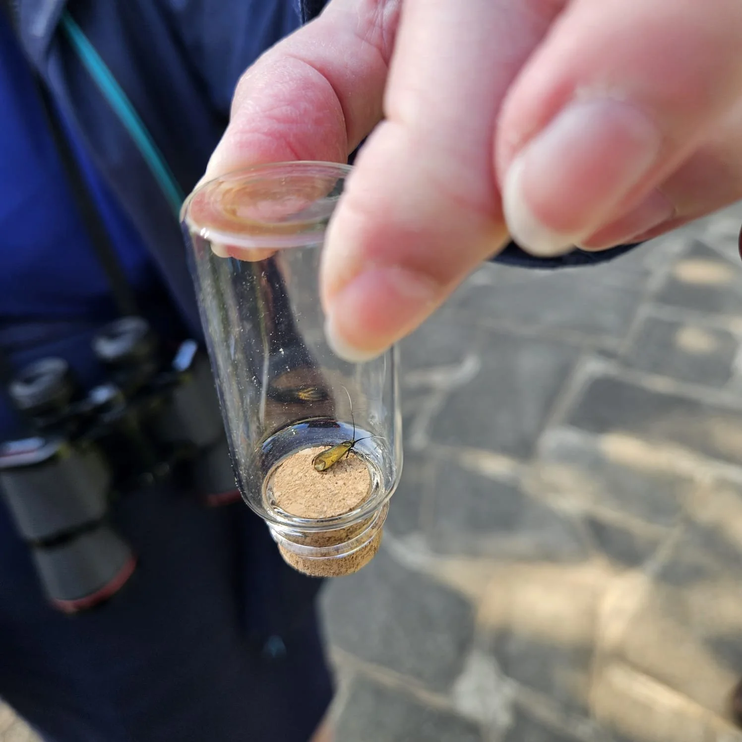 WhatsApp Image 2026-04-23 at 12.29.48.jpeg