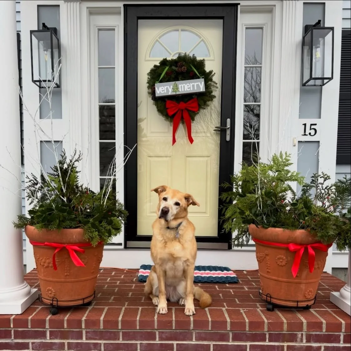 Saturday 11-4/Sunday 12-3
I mean, out of a magazine shoot. Thank you everyone who have sent photos to me of their signs in their displays and decor. It really means a lot. I put so much heart and soul into this business the last 15 years and it reall