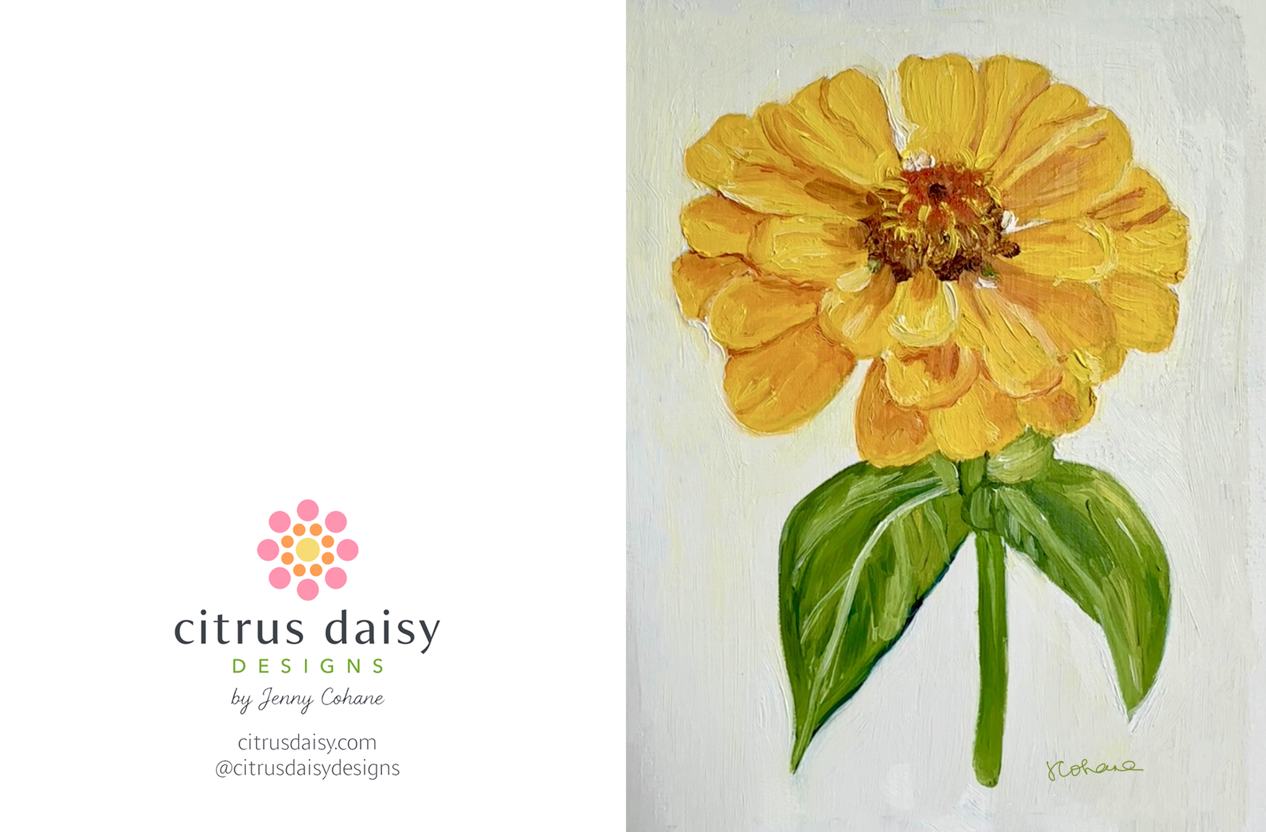 Yellow Zinnea GC.png
