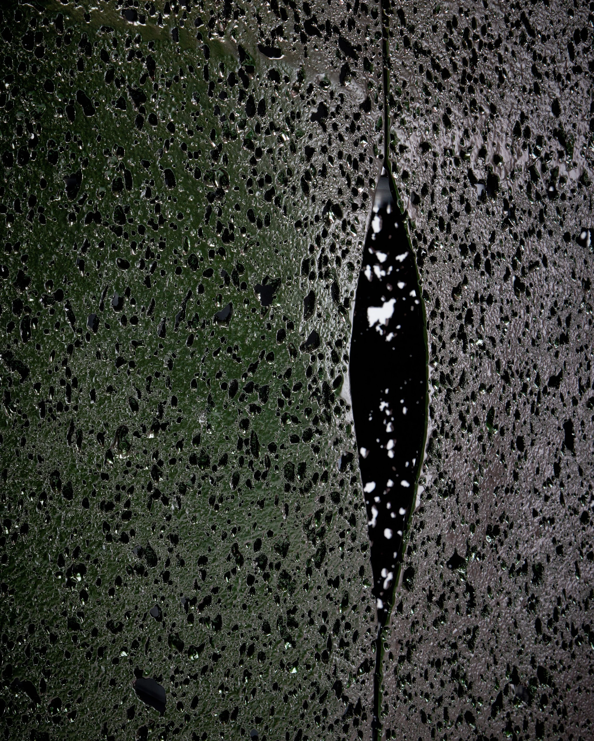 2025_Studio Furthermore_Hydra Cabinet_copyright Charles Burnand Gallery 2025_photo Graham Pearson7.jpg