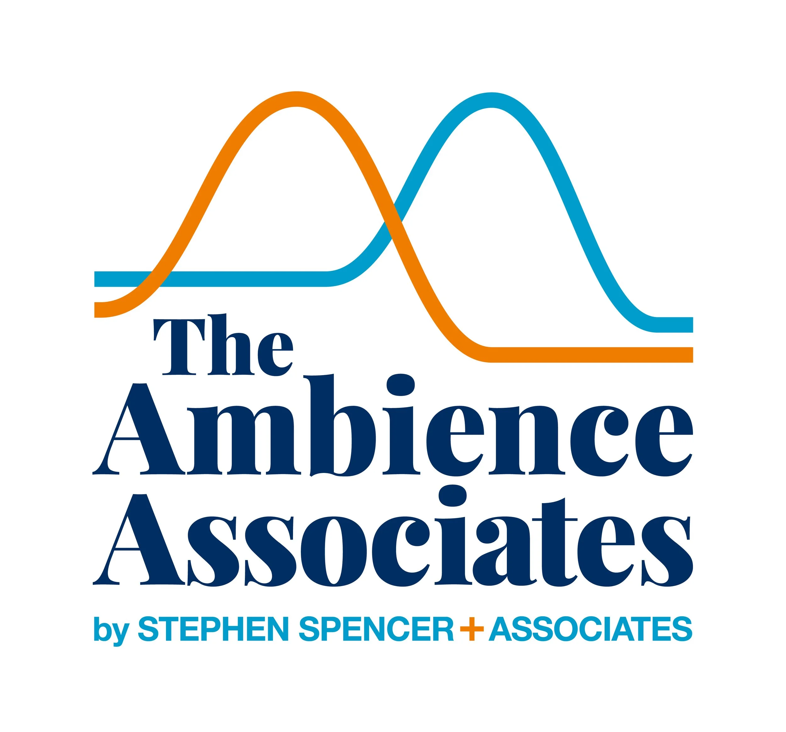 Introducing The Ambience Associates