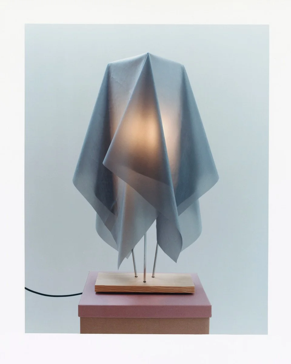 Julie Richoz - Pine Grey Lamp, 2024