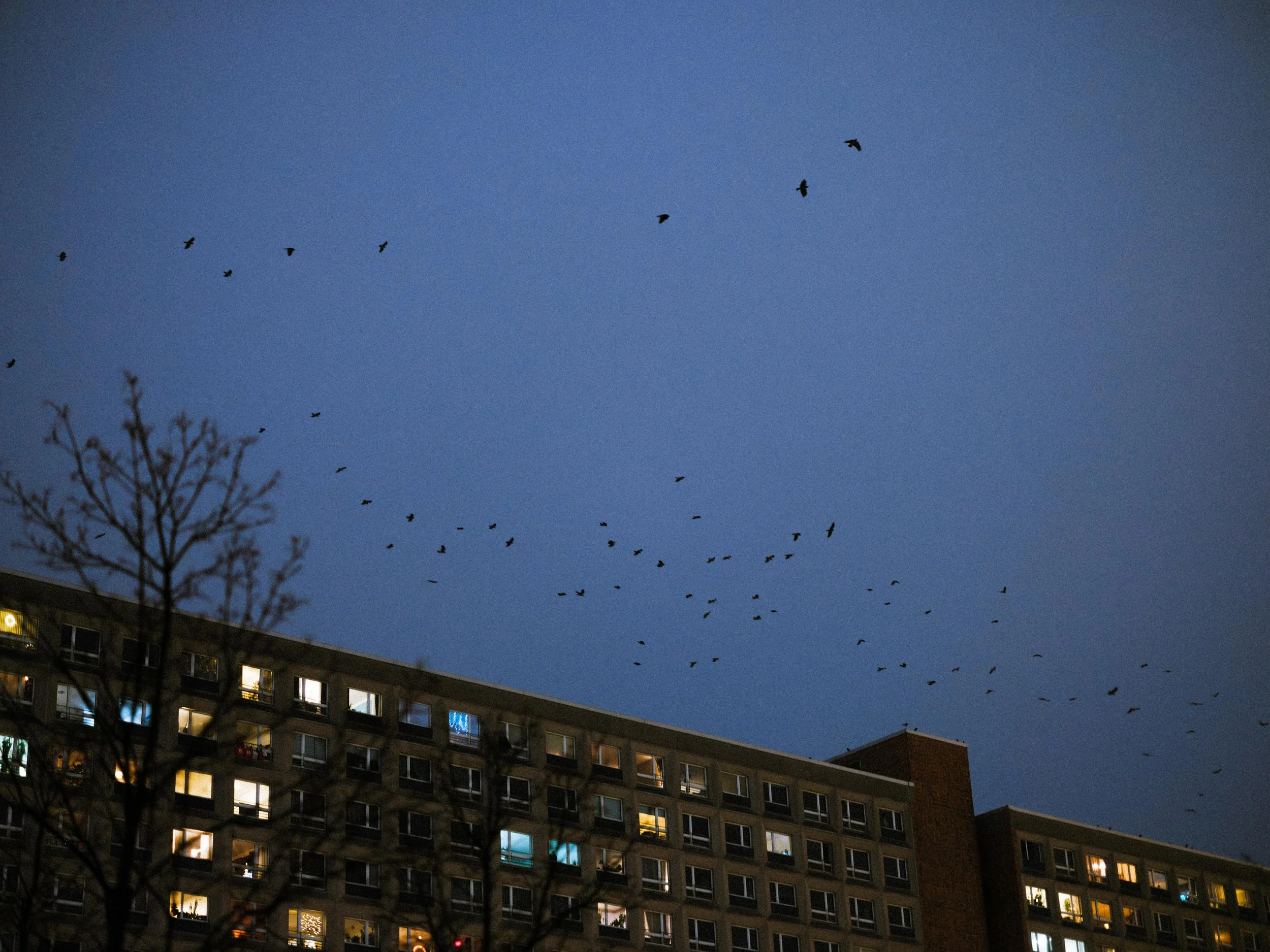 DSCF2003-Enhanced-NR (1).jpeg