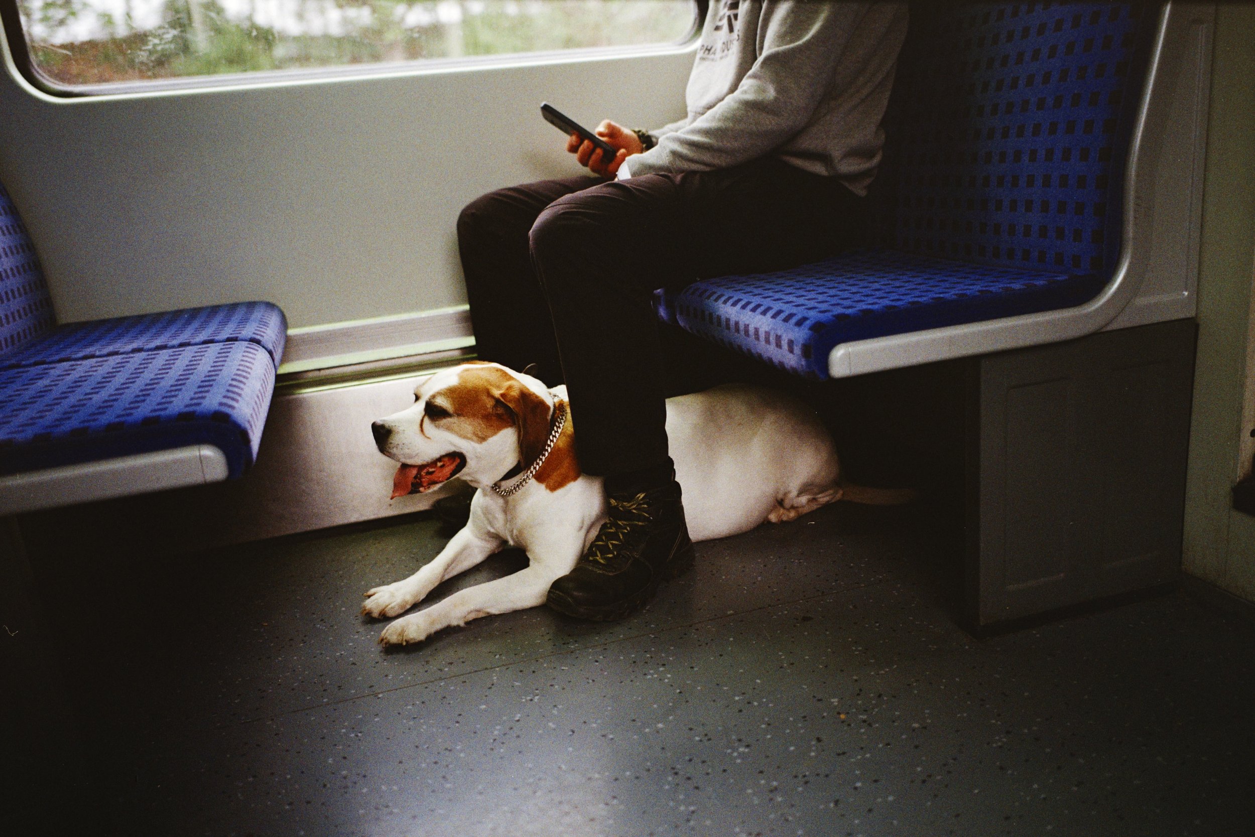 DSC_1732.jpeg