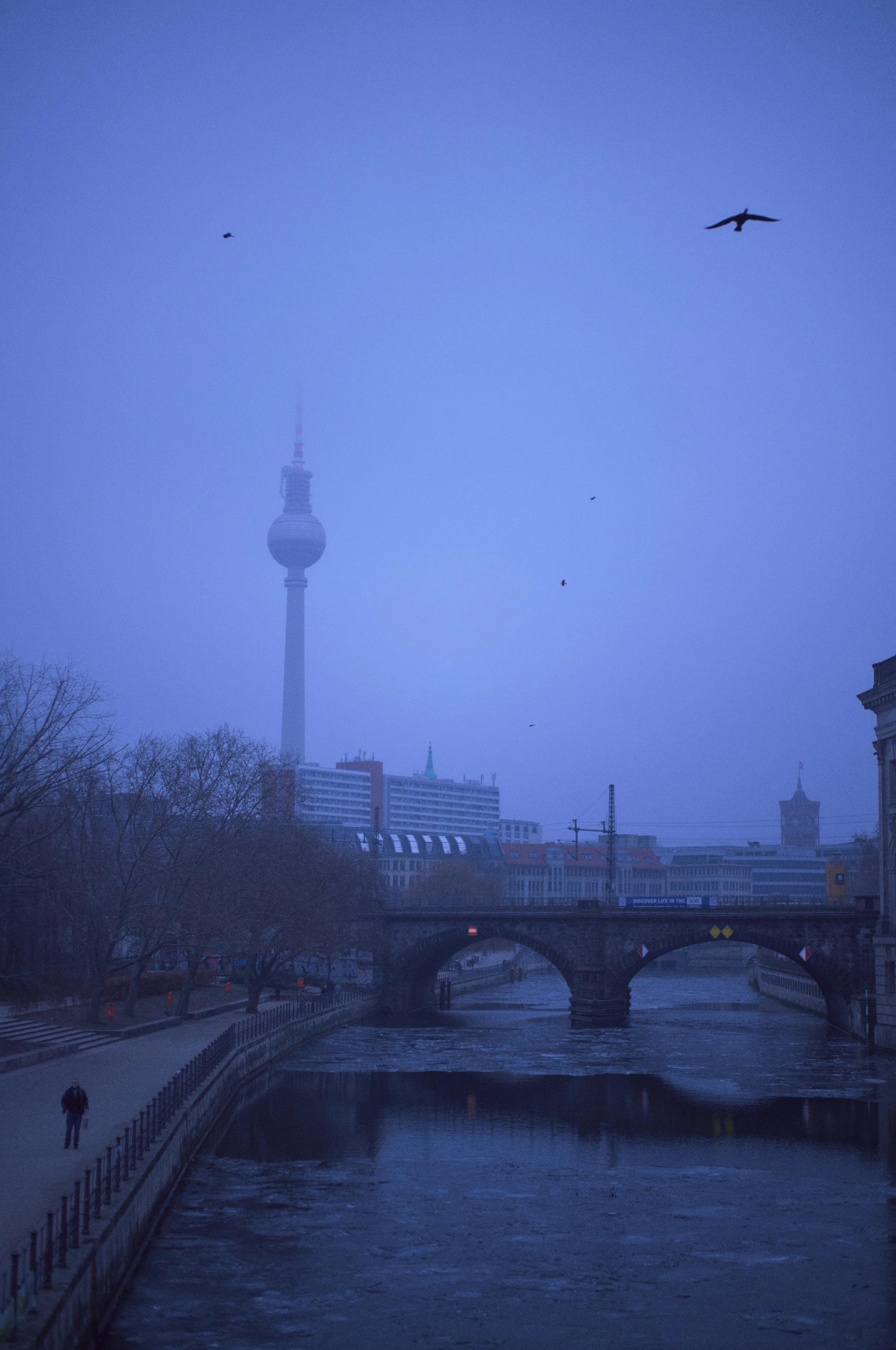 L1005767.jpeg