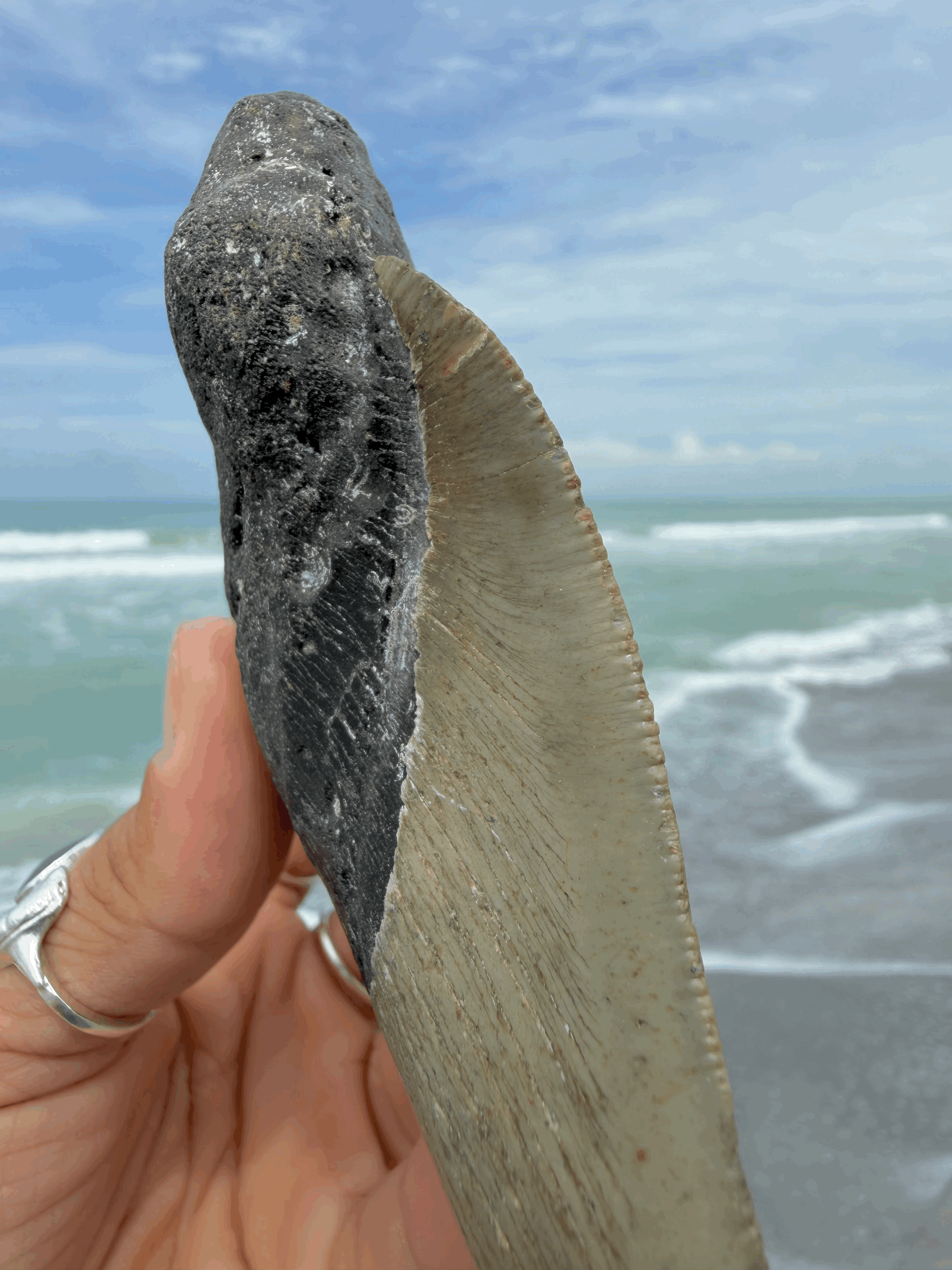 tempImage0IY5in.gif