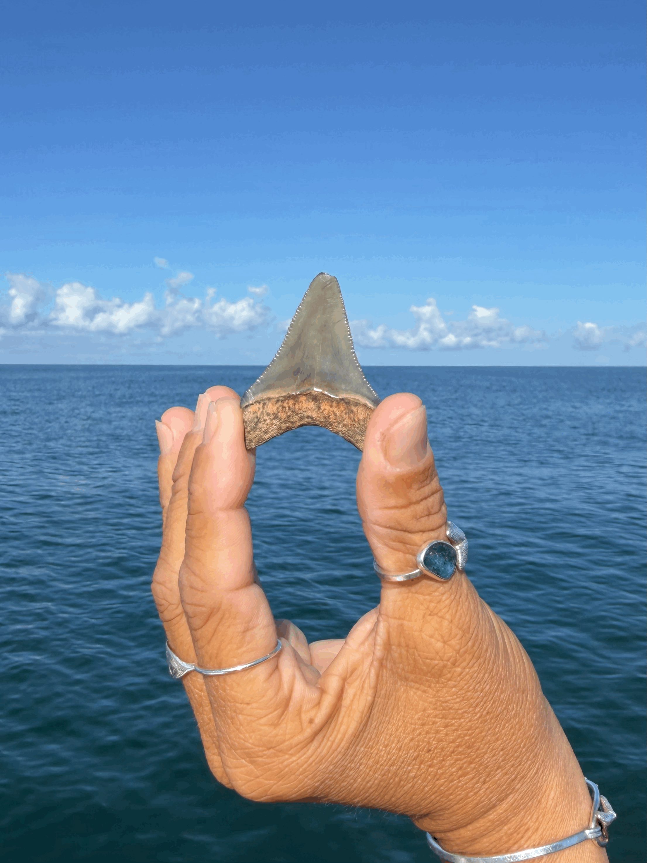 tempImagenAjaP5.gif