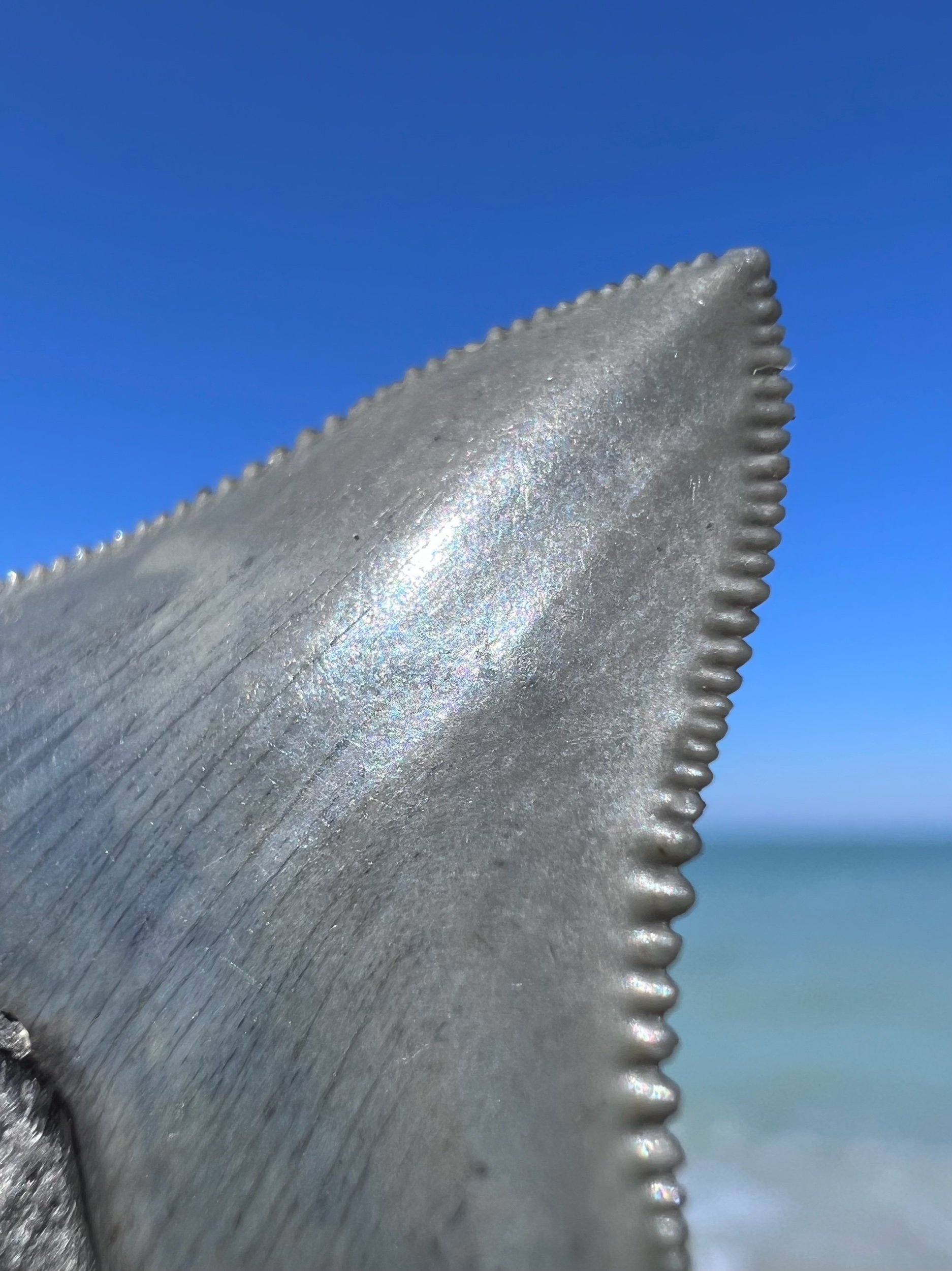 047AD57B-6A7B-4E6E-B1FB-E3775838EC31.jpeg