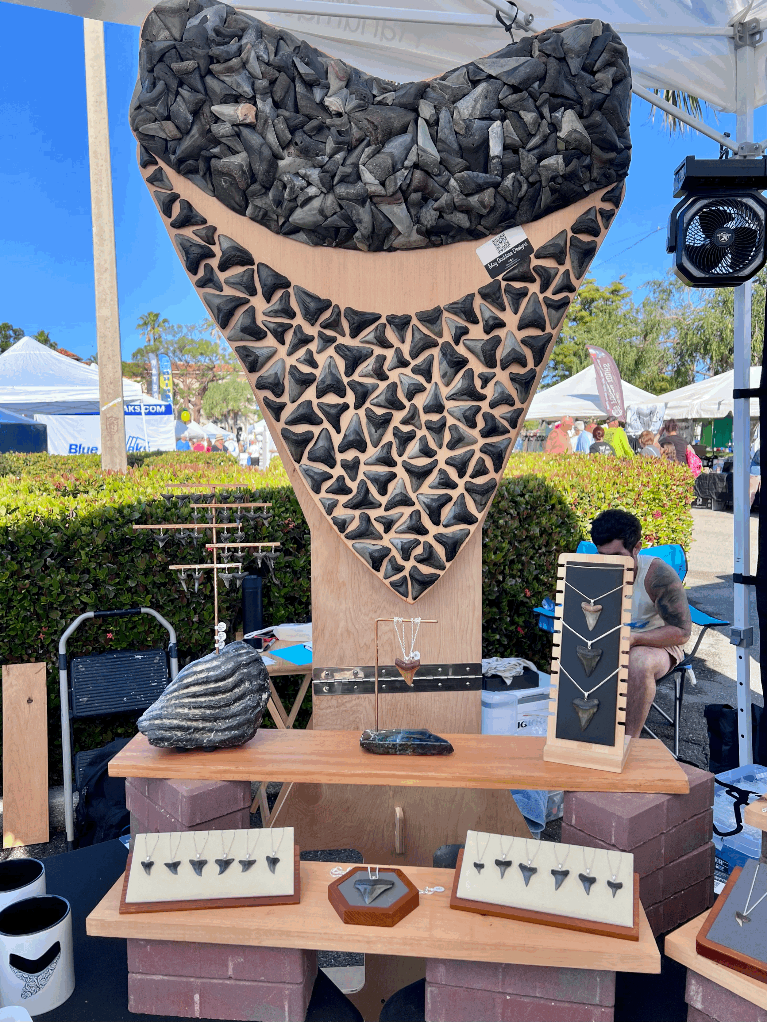 Venice Shark’s Tooth Festival