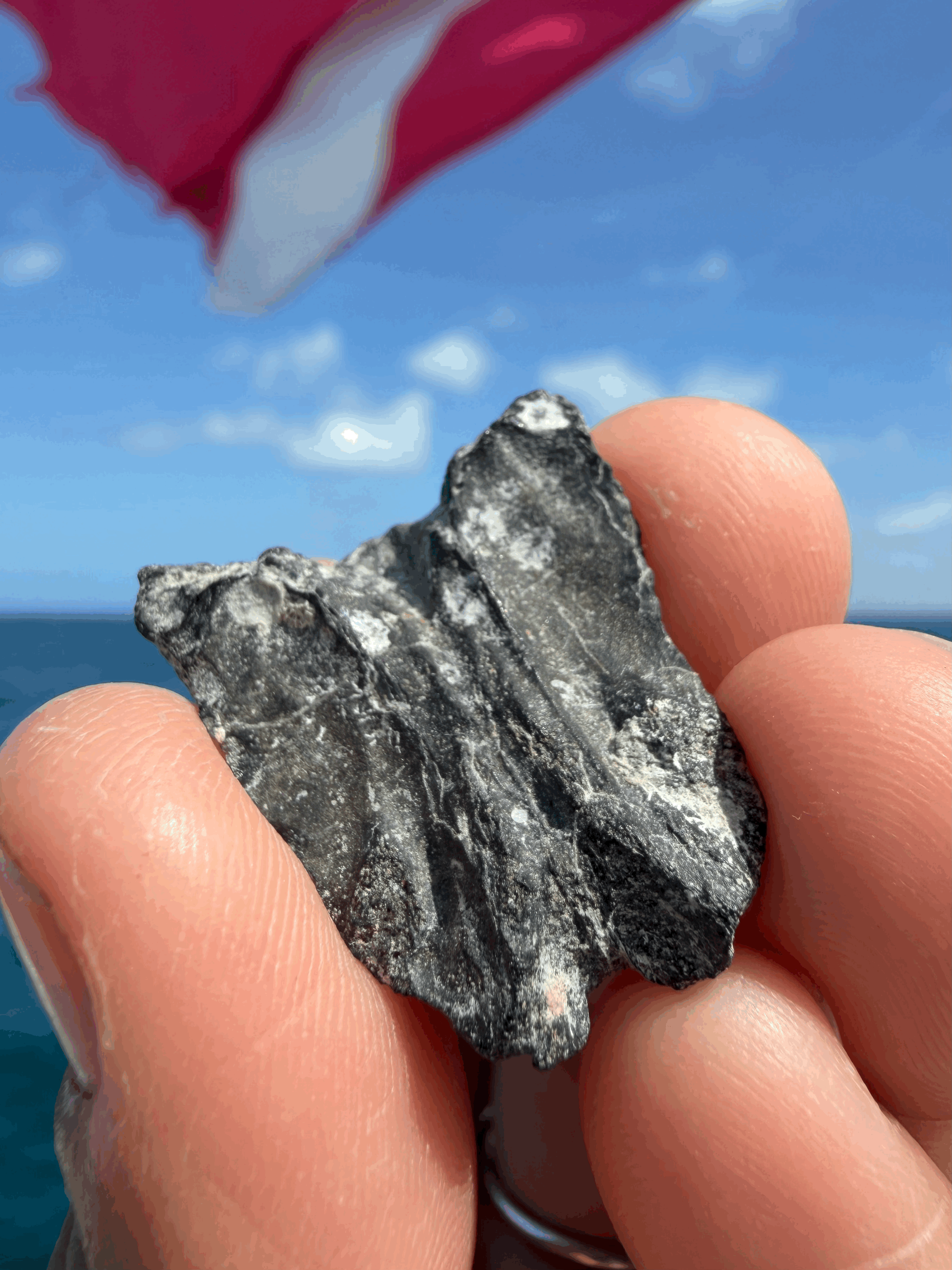 tempImageIXIXid.gif