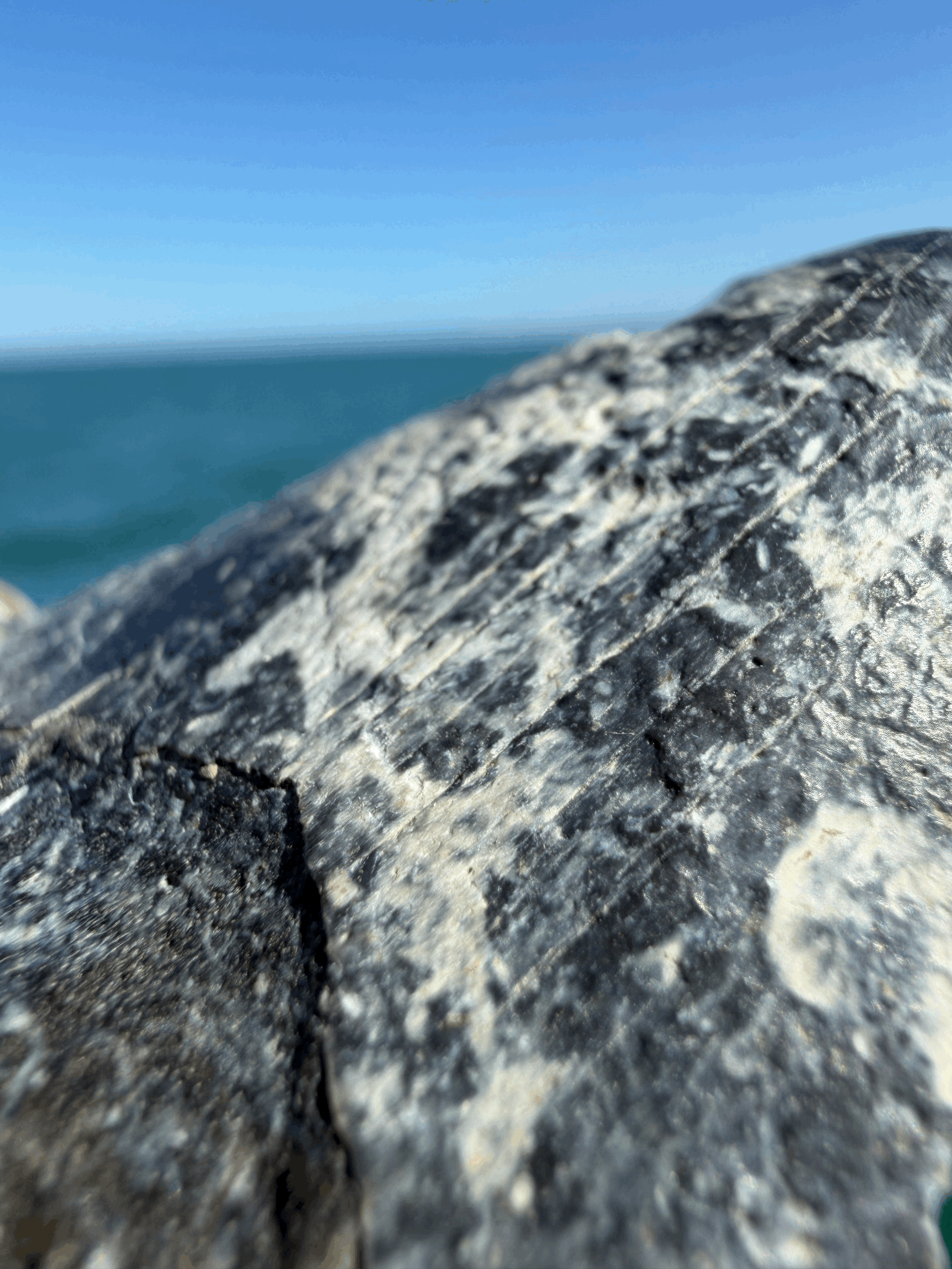 tempImageg2C0Pc.gif