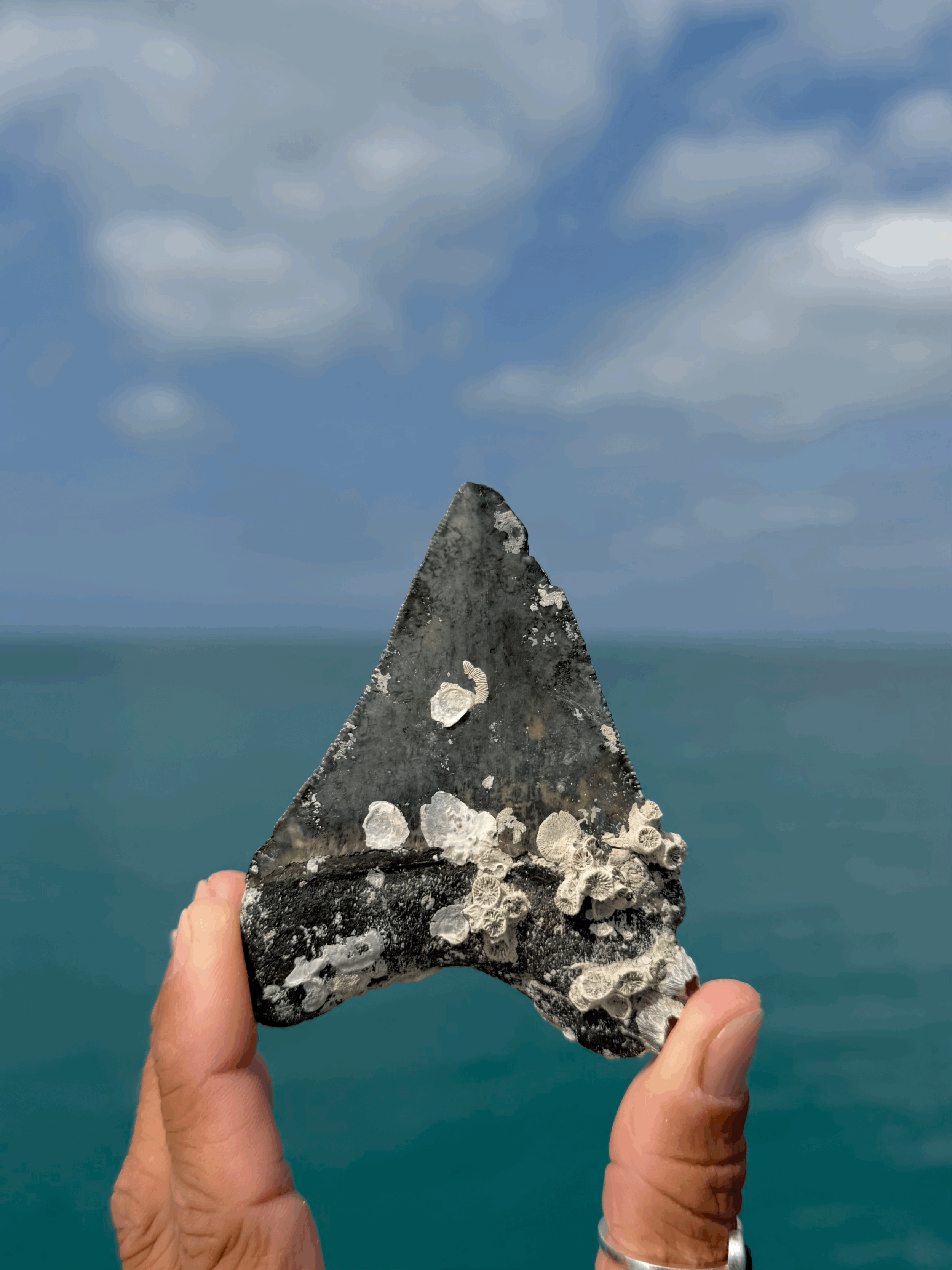 tempImagea7DHyc.gif