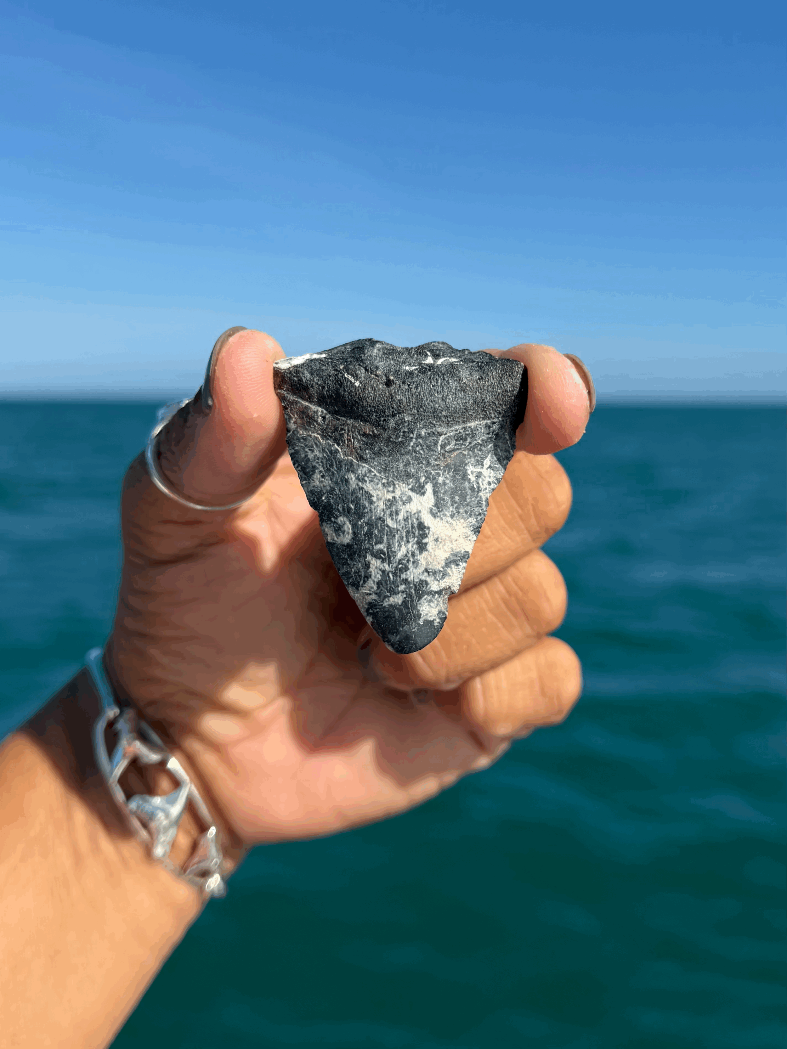 tempImageRa7gAC.gif