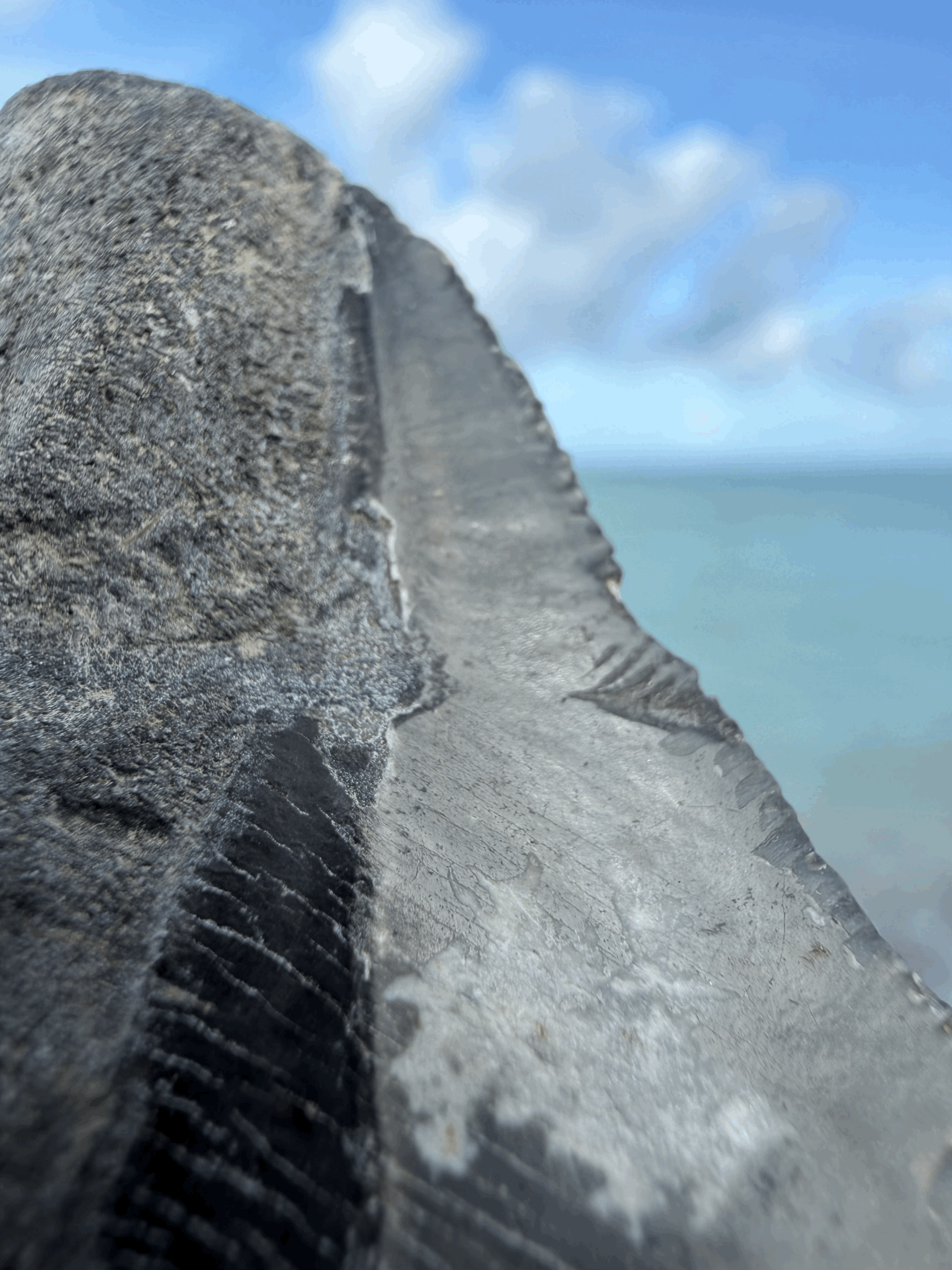 tempImagenc0HmH.gif