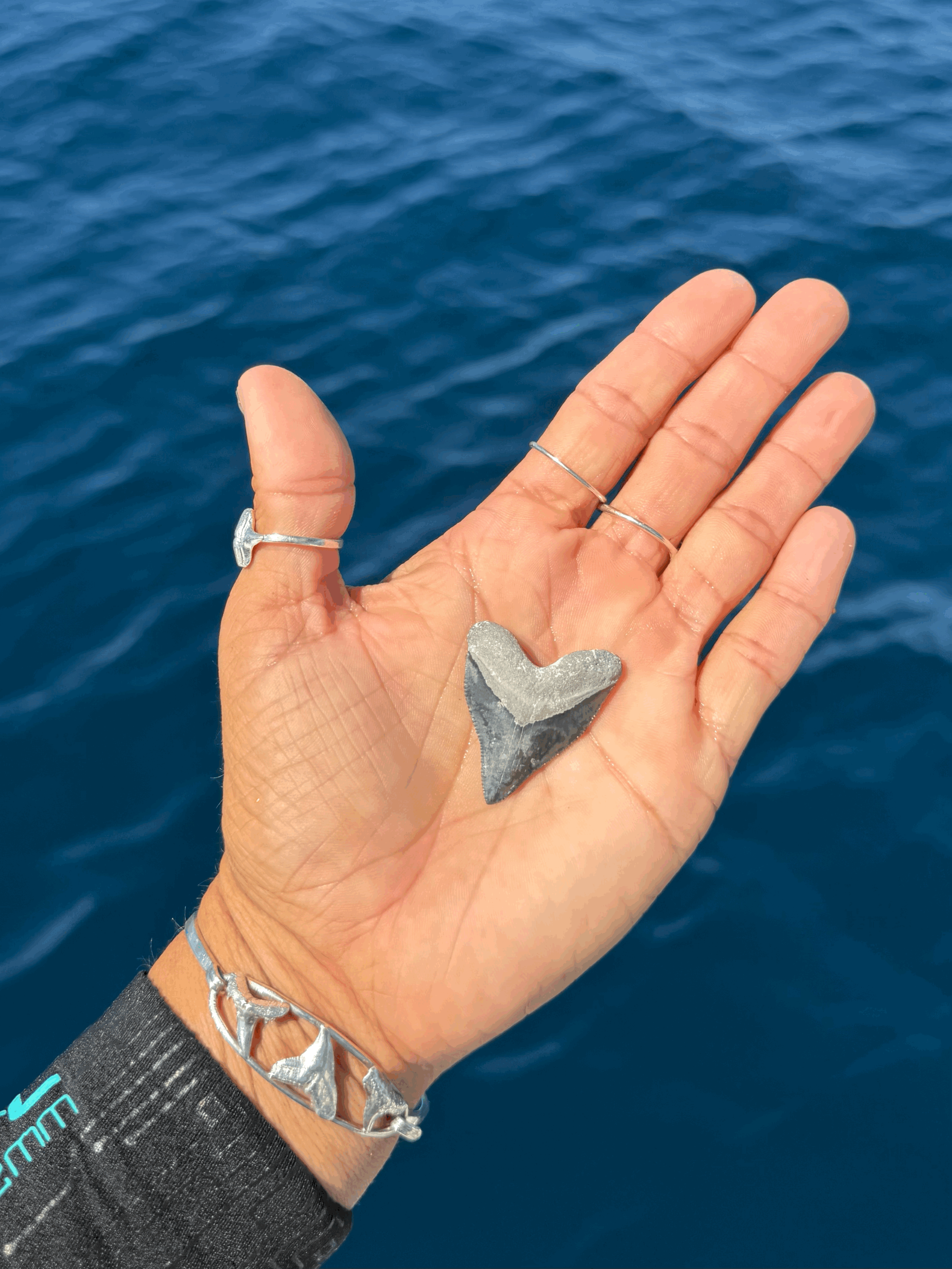 tempImageD32GMe.gif
