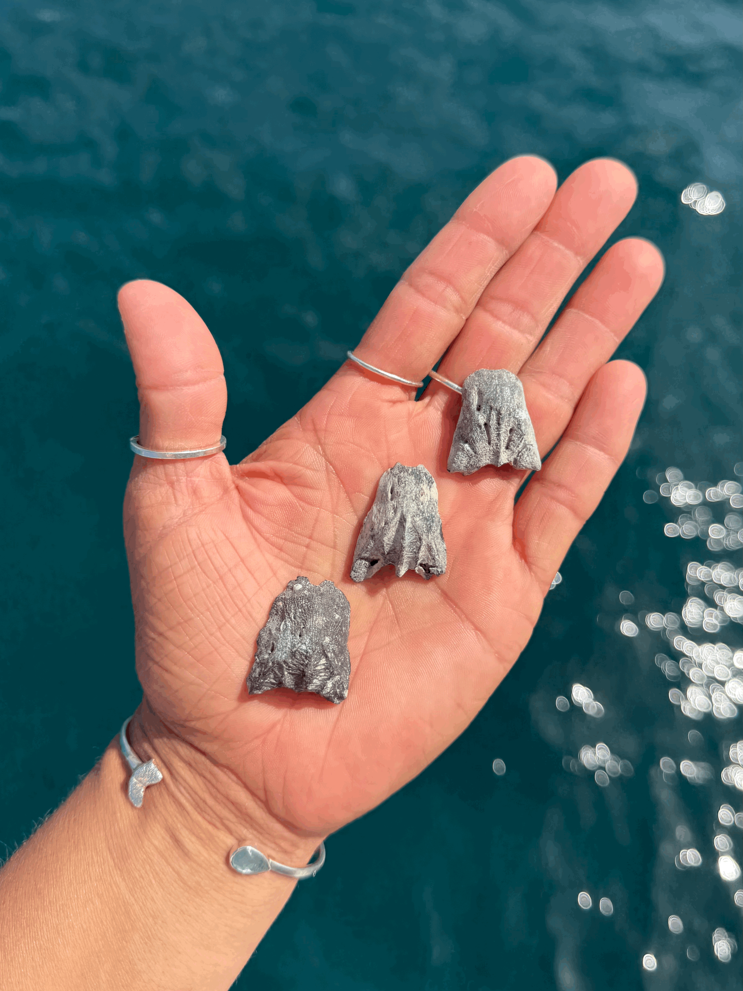 tempImageGy56tO.gif